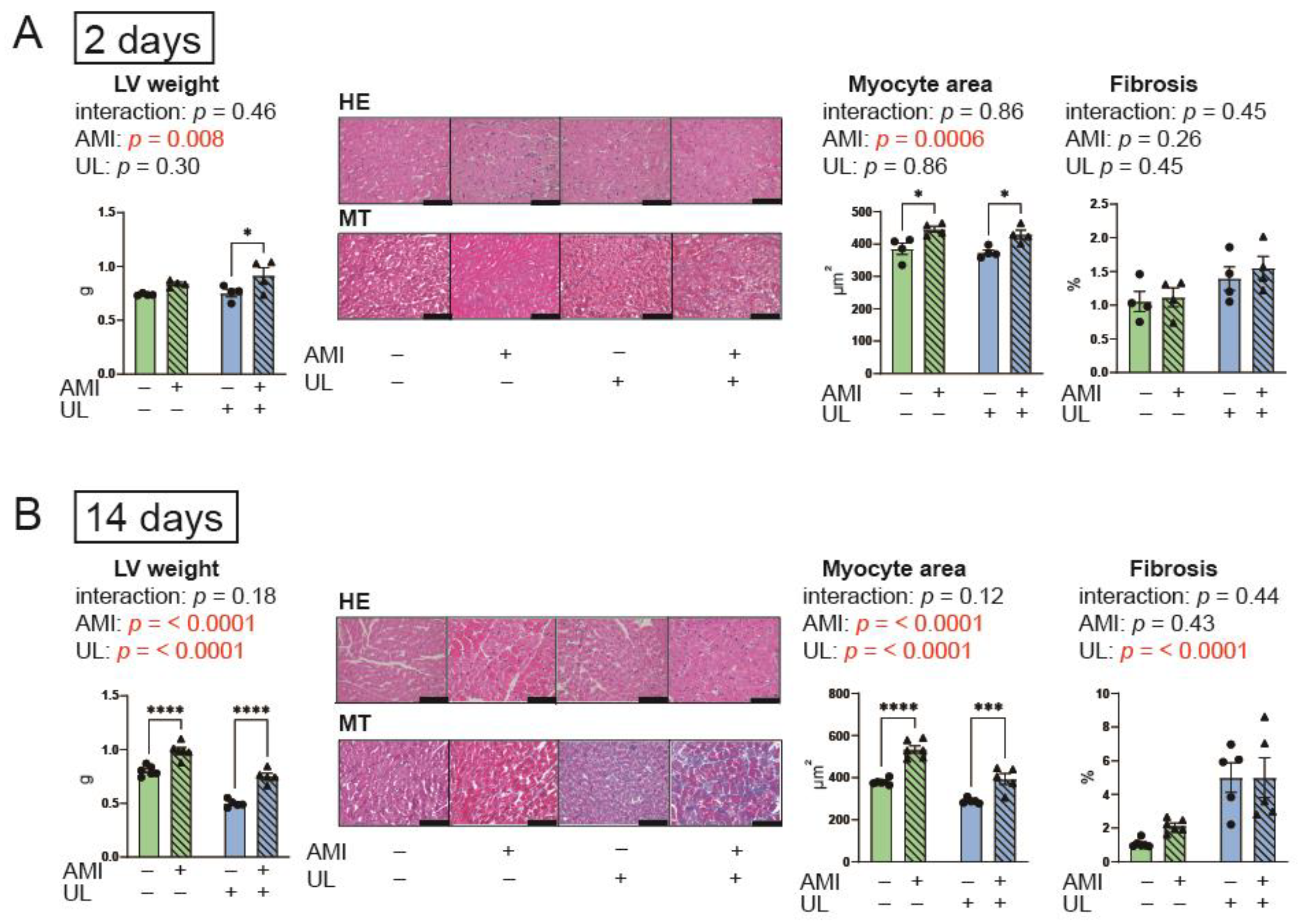 Ijms 26 04422 g002 Ijms 26 04422 g002
