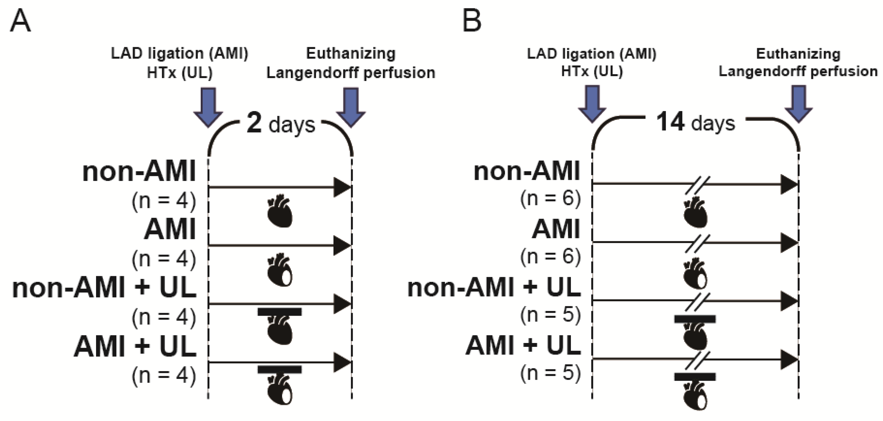 Ijms 26 04422 g006 Ijms 26 04422 g006