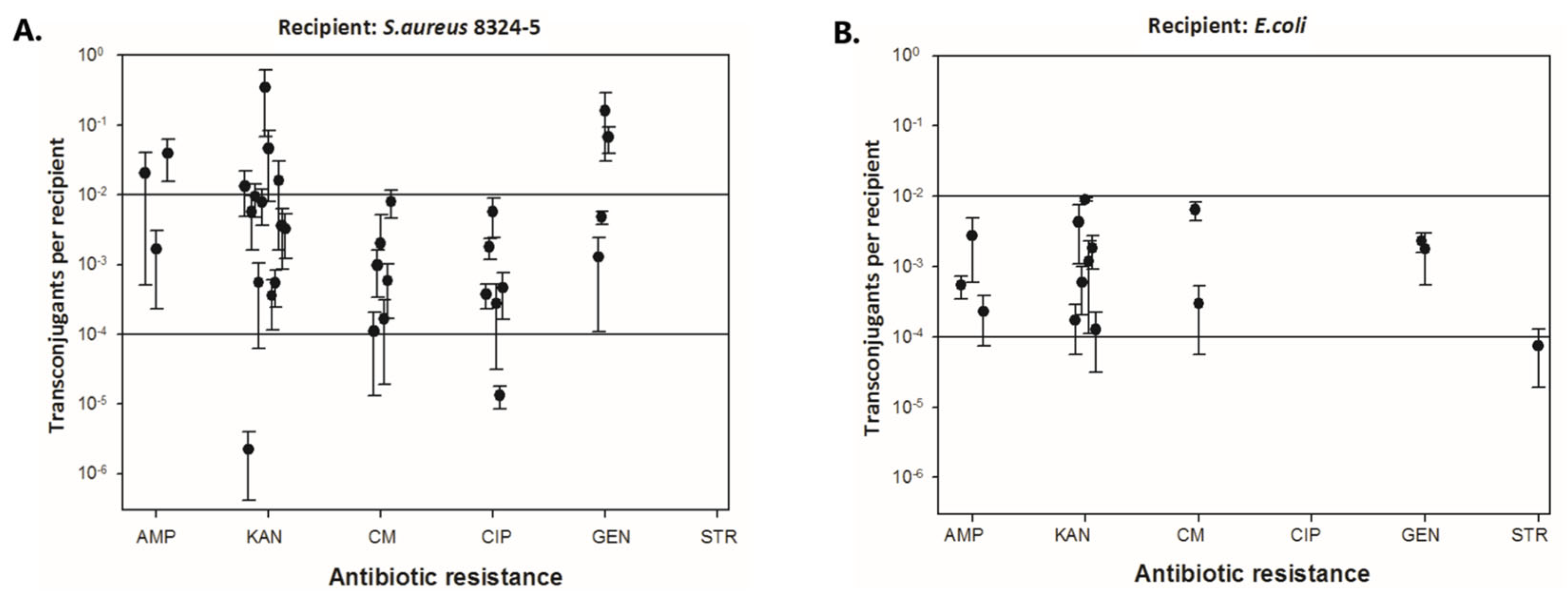Ijms 26 04424 g004 Ijms 26 04424 g004