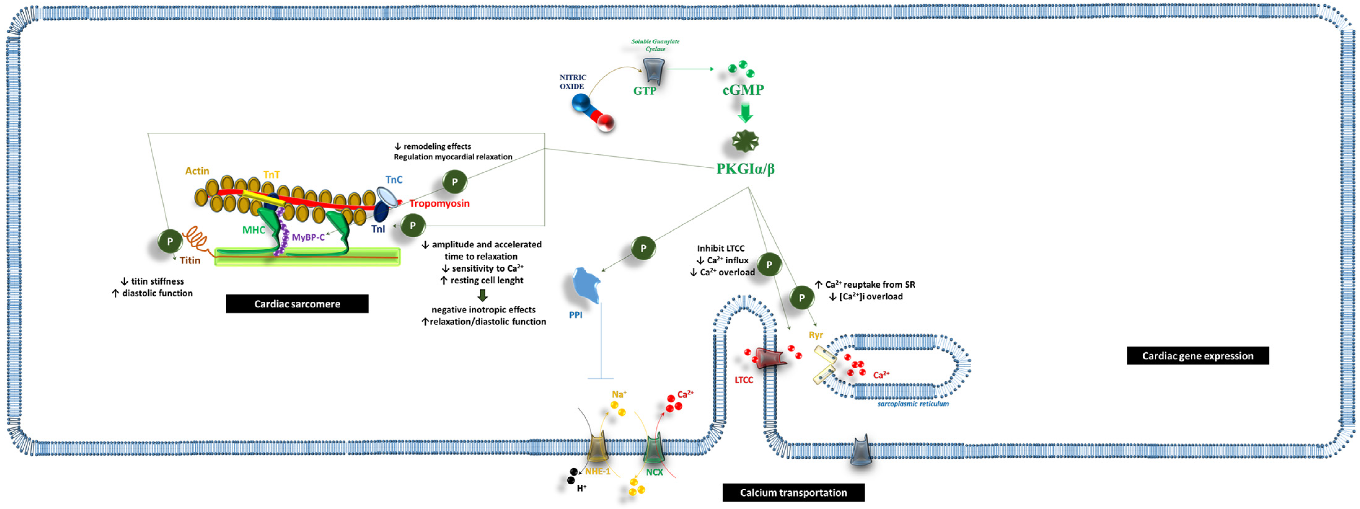 Ijms 26 04550 g001 Ijms 26 04550 g001