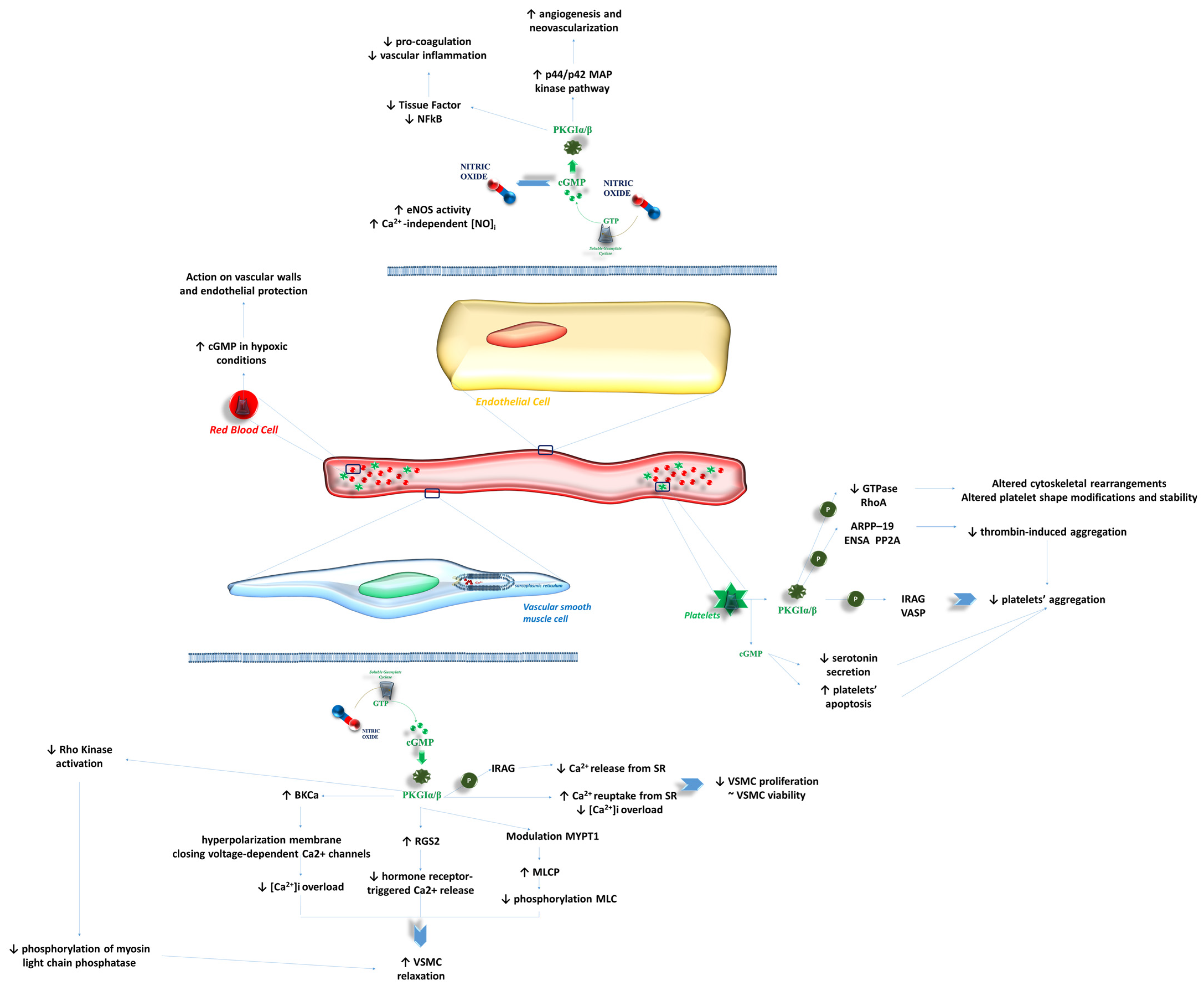 Ijms 26 04550 g002 Ijms 26 04550 g002
