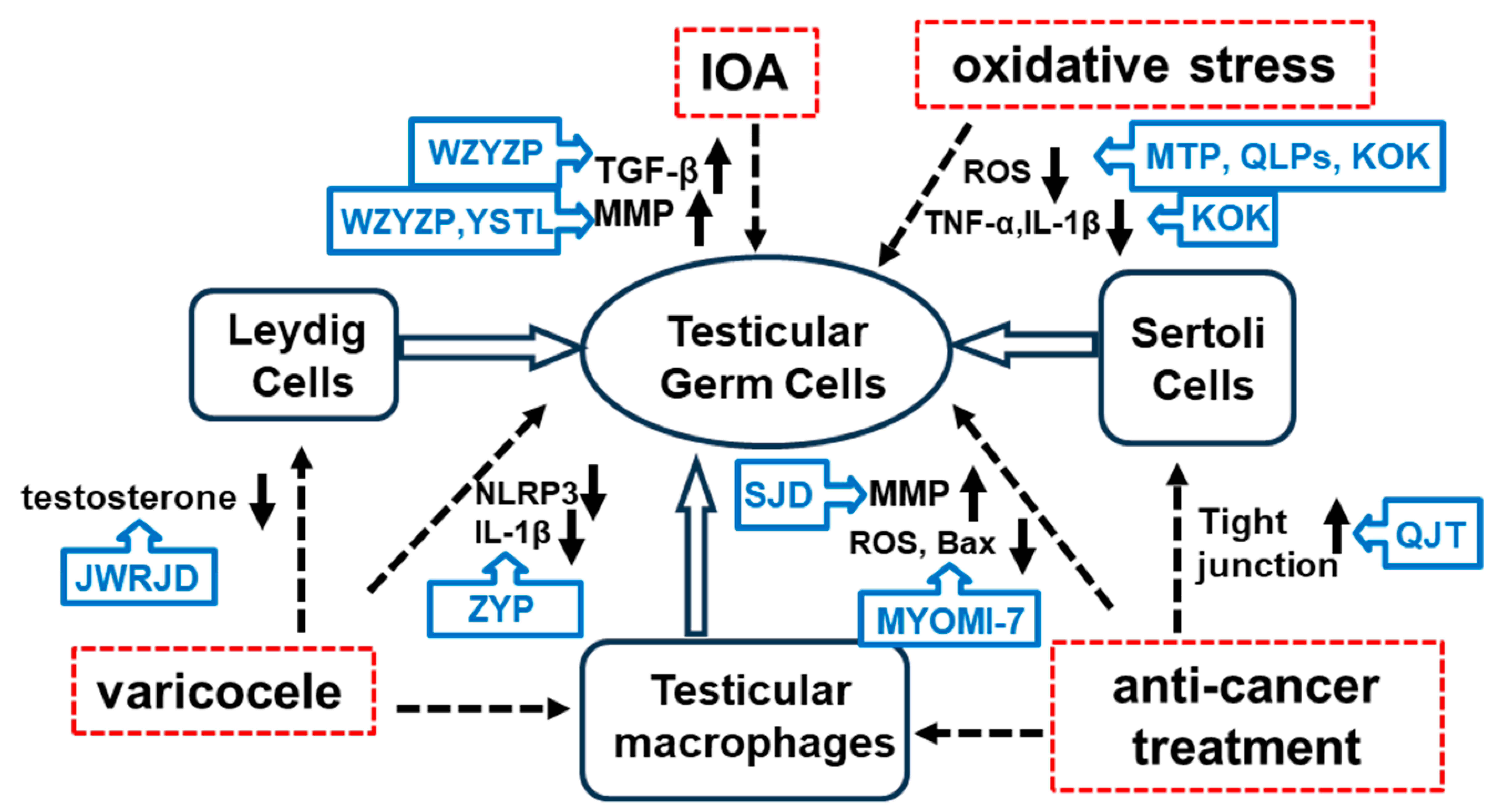 Ijms 26 04642 g002 Ijms 26 04642 g002