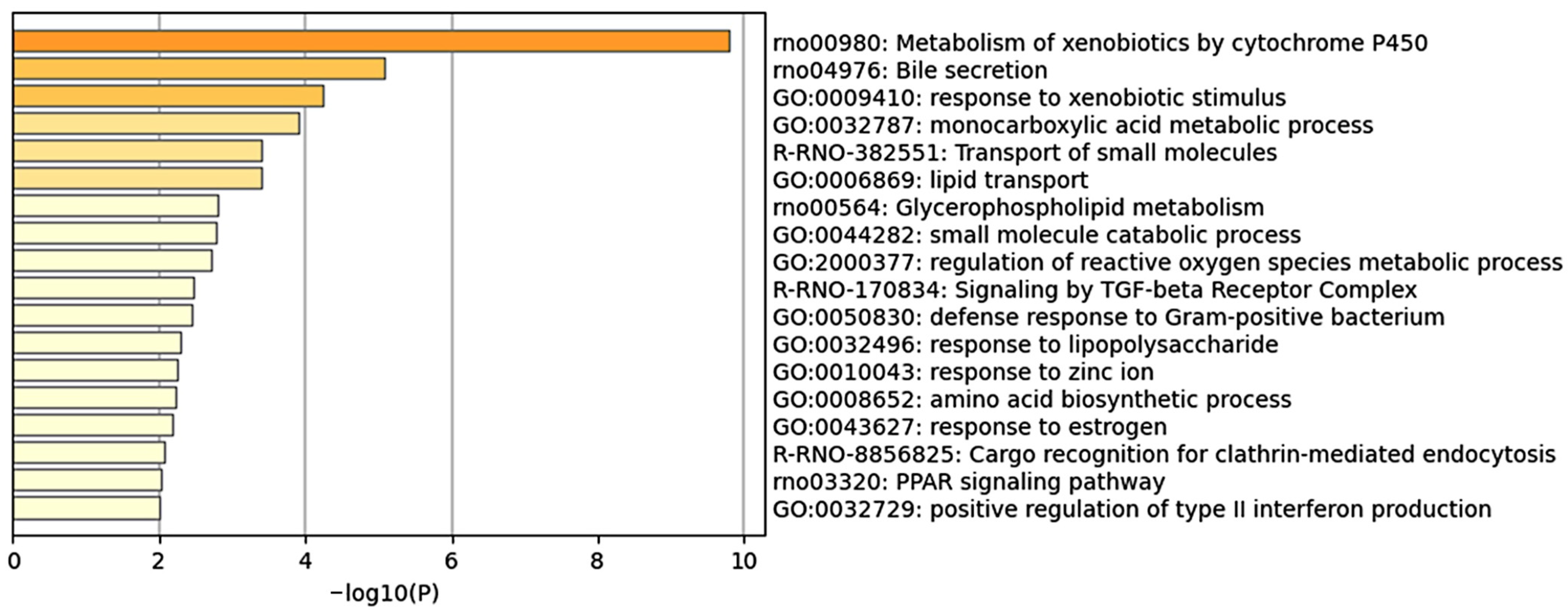 Ijms 26 04886 g003 Ijms 26 04886 g003