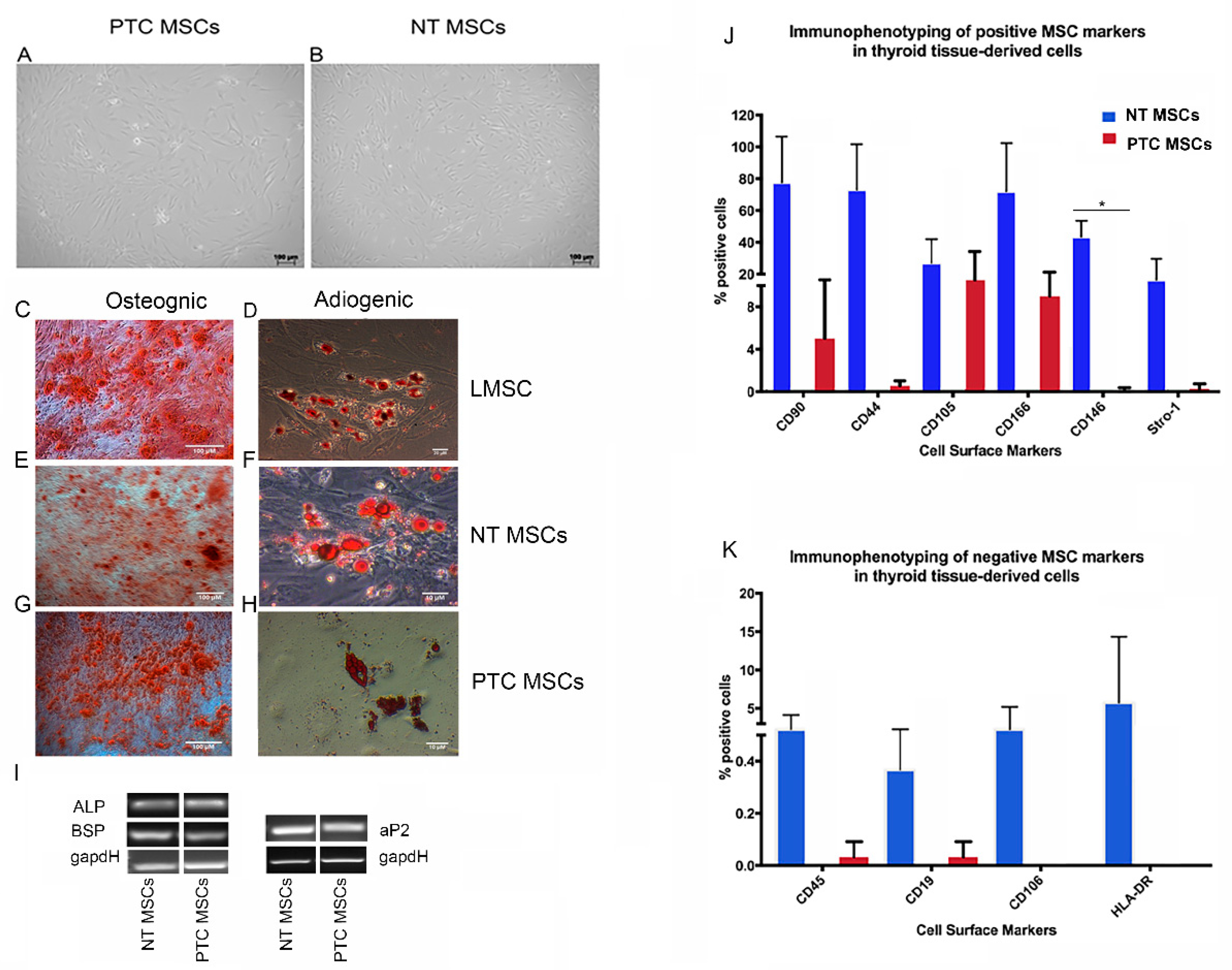 Ijms 26 04957 g001 Ijms 26 04957 g001