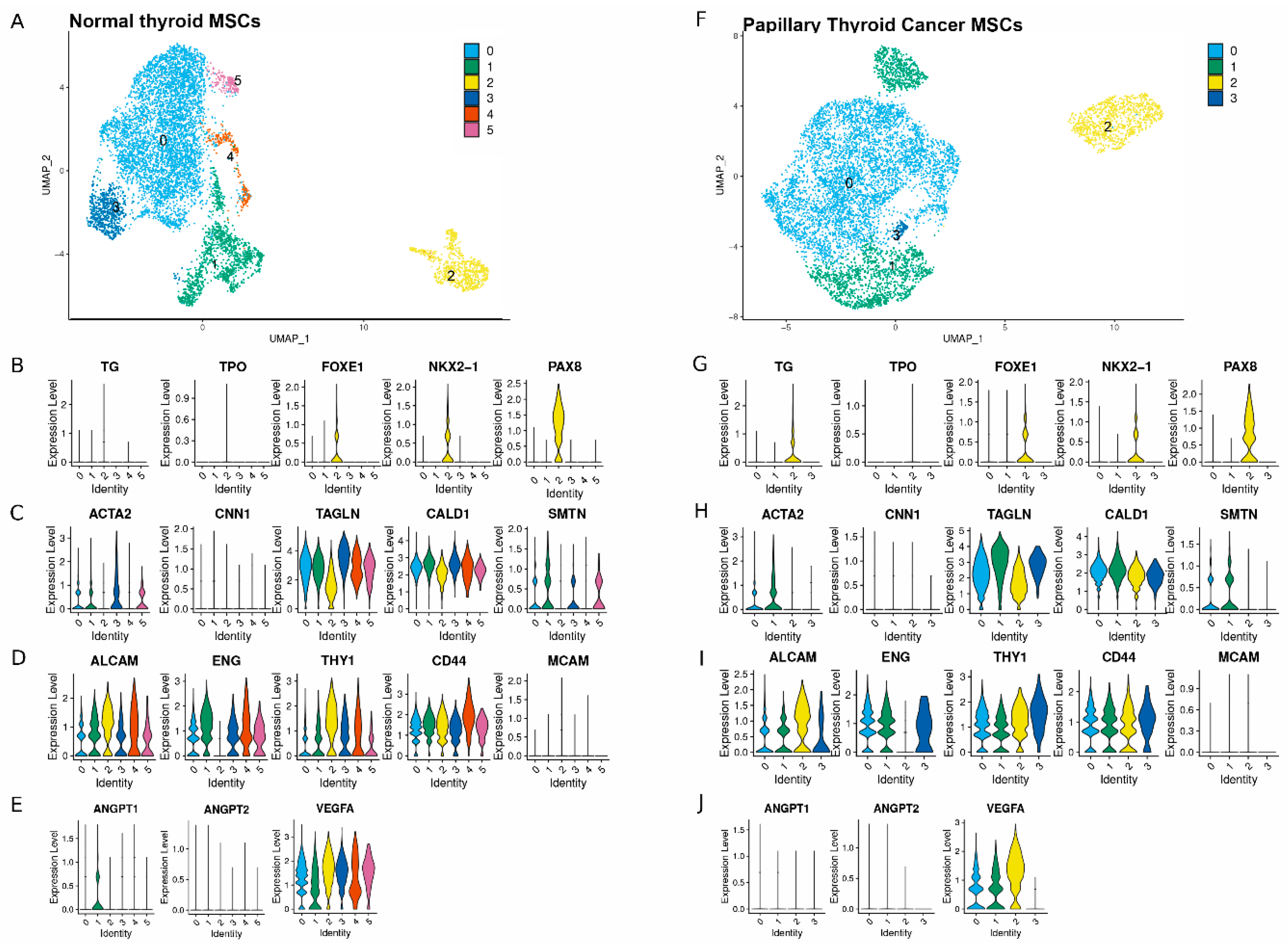 Ijms 26 04957 g002 Ijms 26 04957 g002