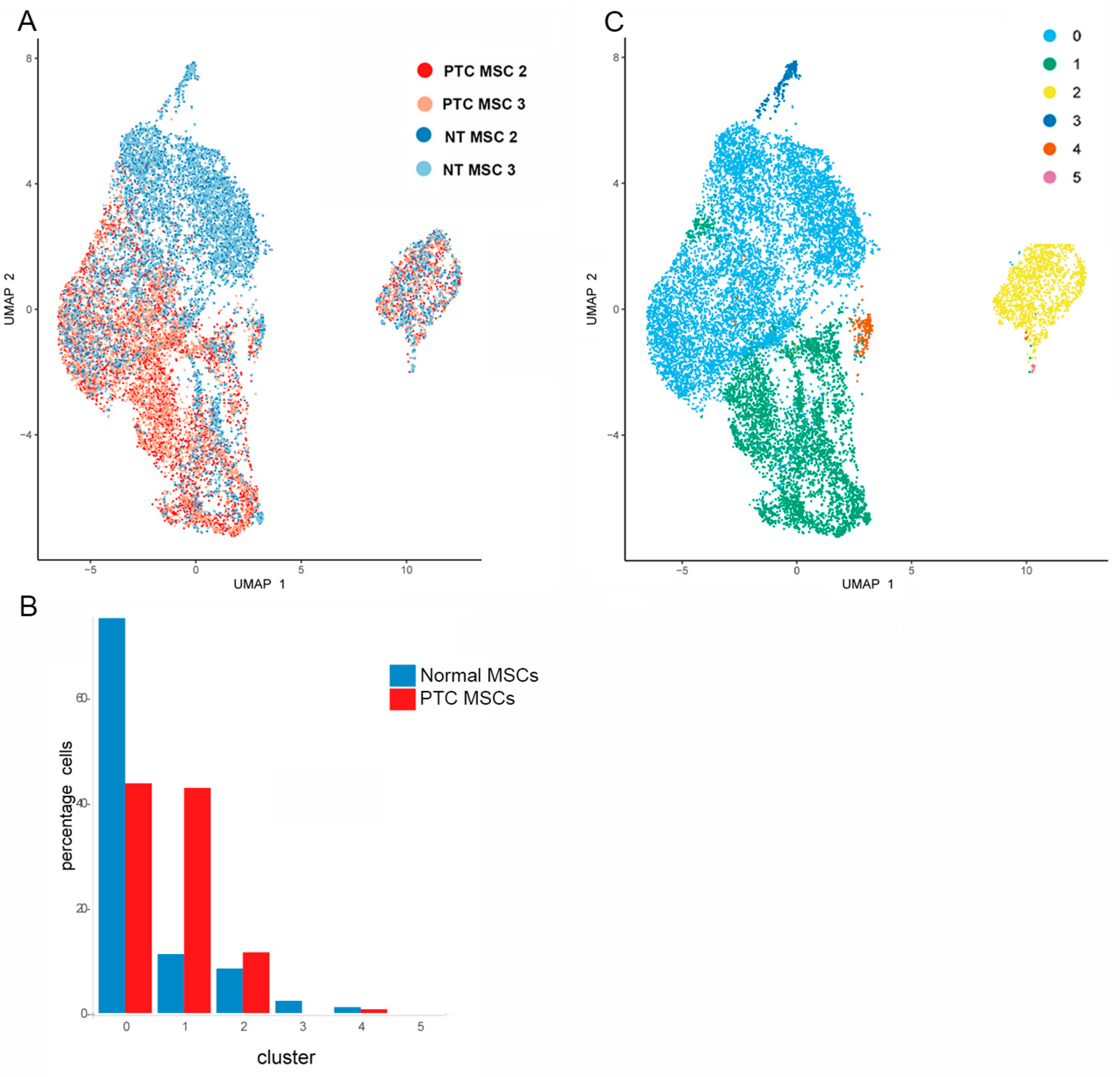 Ijms 26 04957 g003 Ijms 26 04957 g003