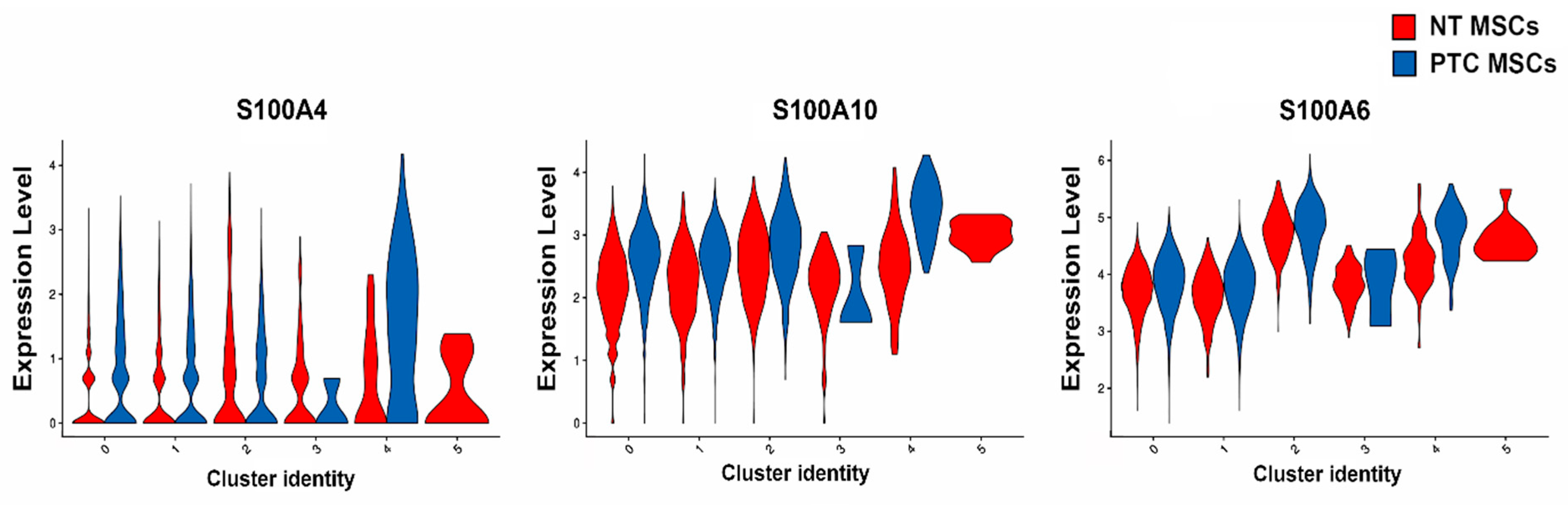 Ijms 26 04957 g004 Ijms 26 04957 g004