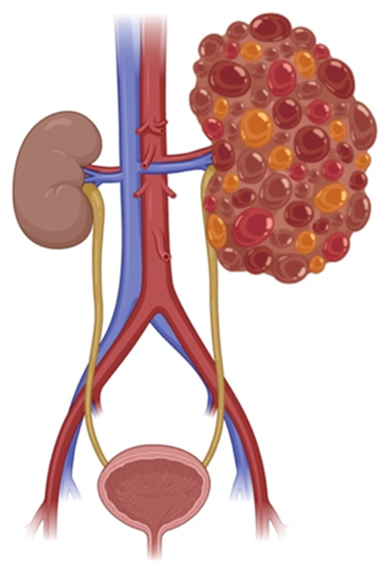 Ijms 26 04971 g001 Ijms 26 04971 g001