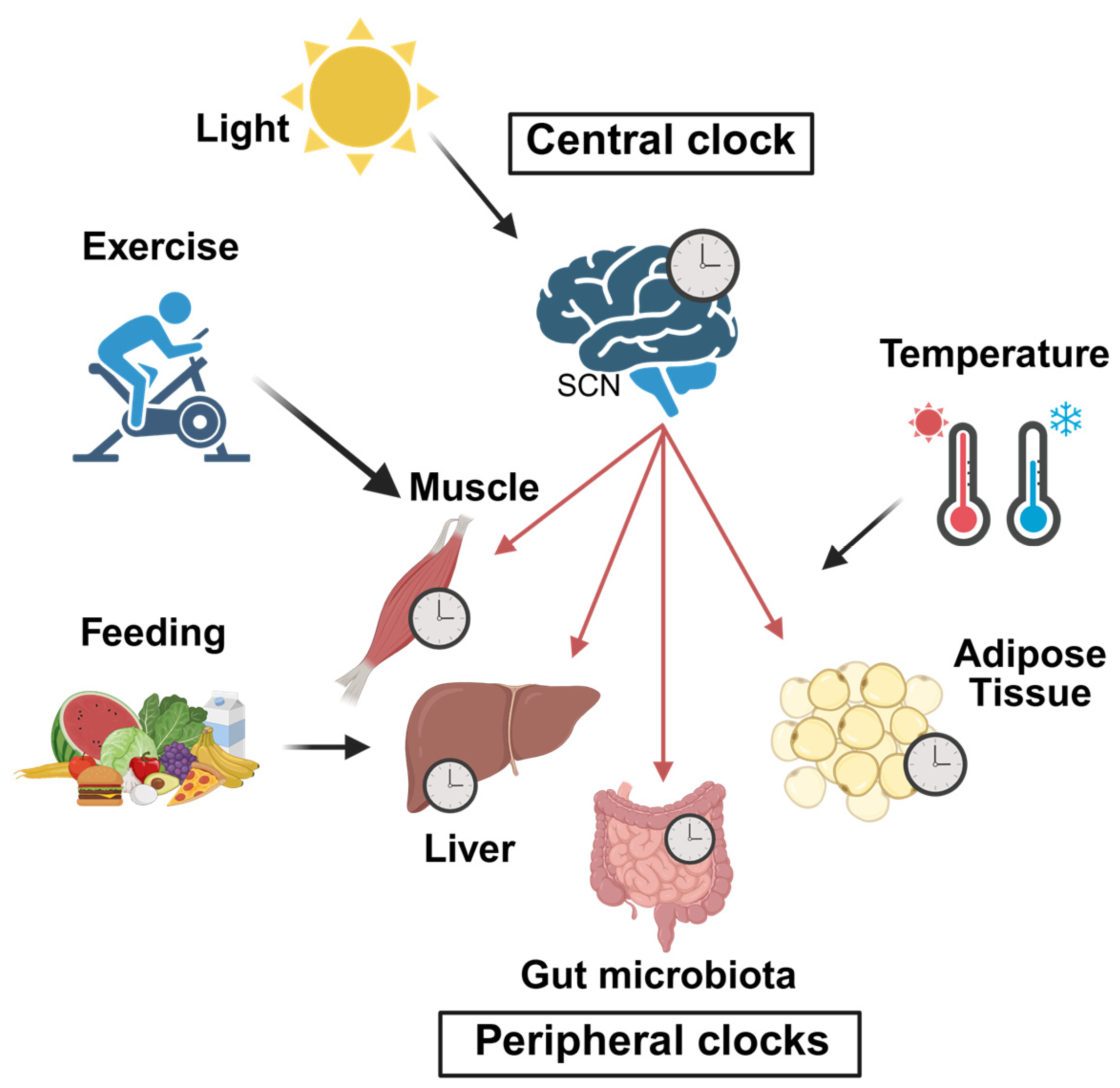 Ijms 26 05116 g002 Ijms 26 05116 g002