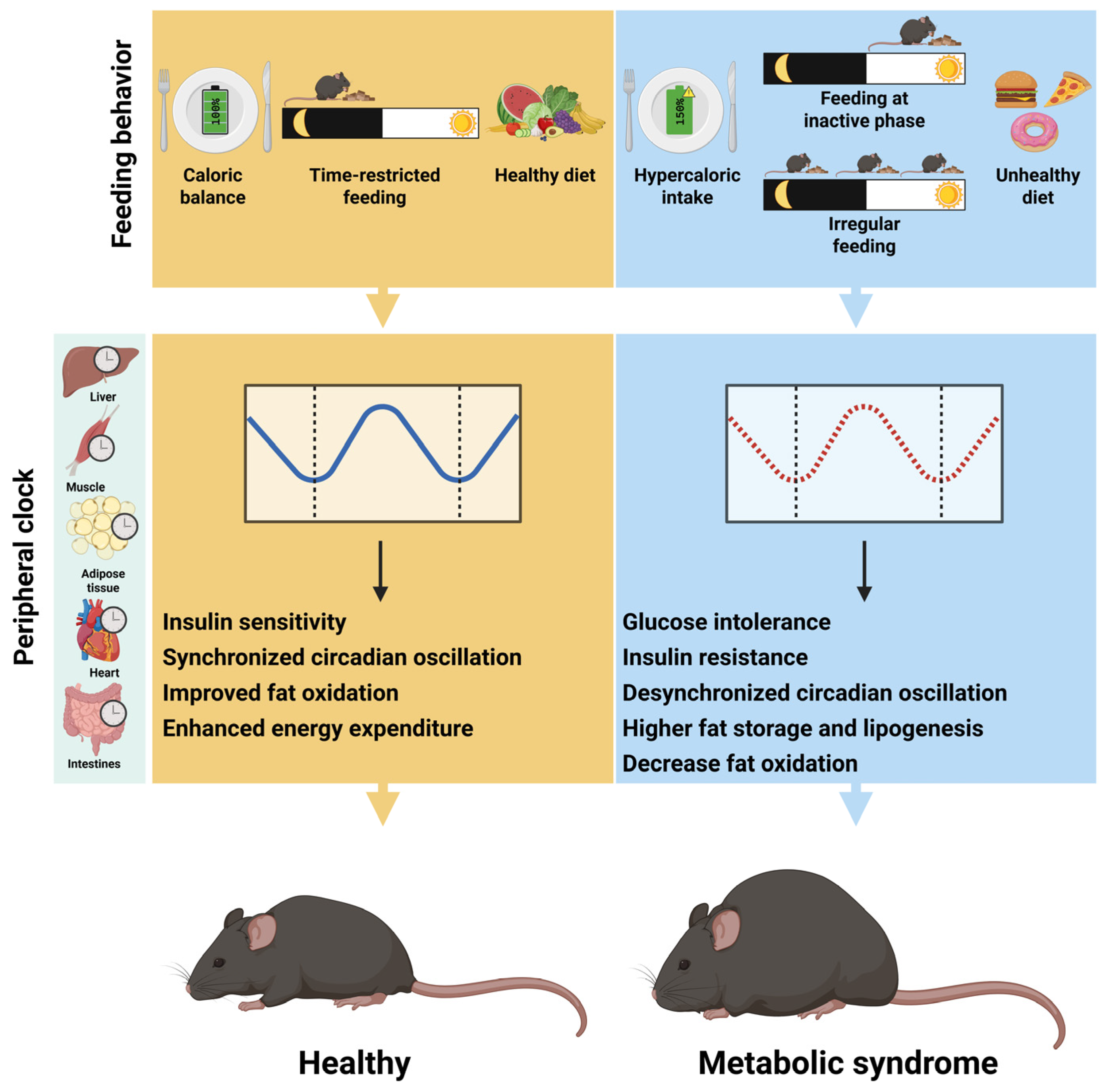 Ijms 26 05116 g003 Ijms 26 05116 g003