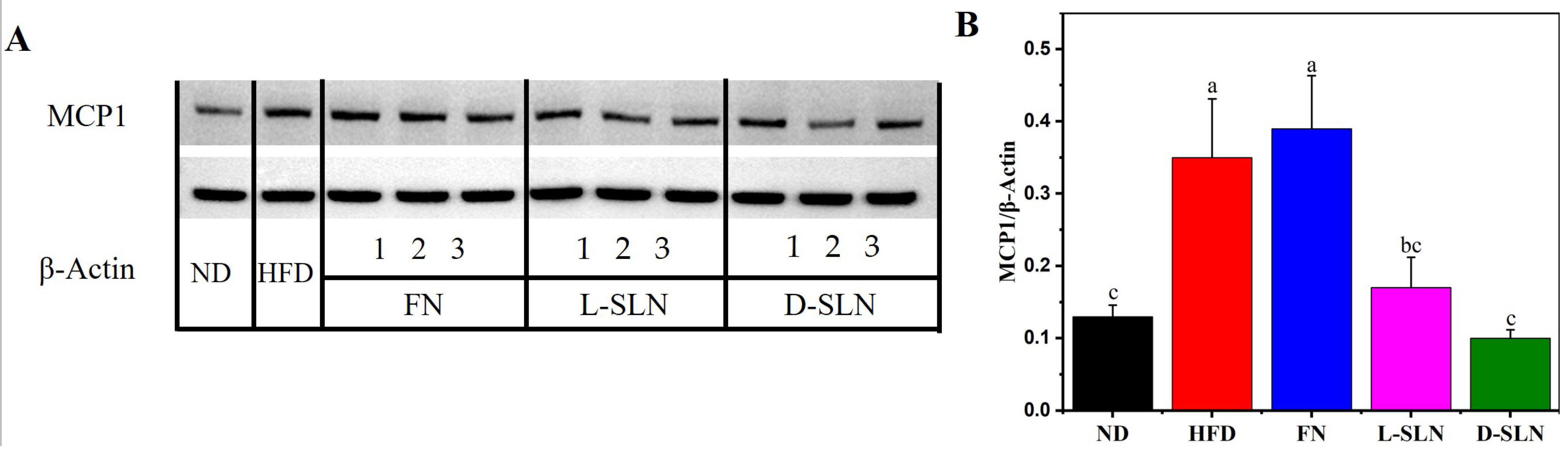 Ijms 26 05249 g005 Ijms 26 05249 g005