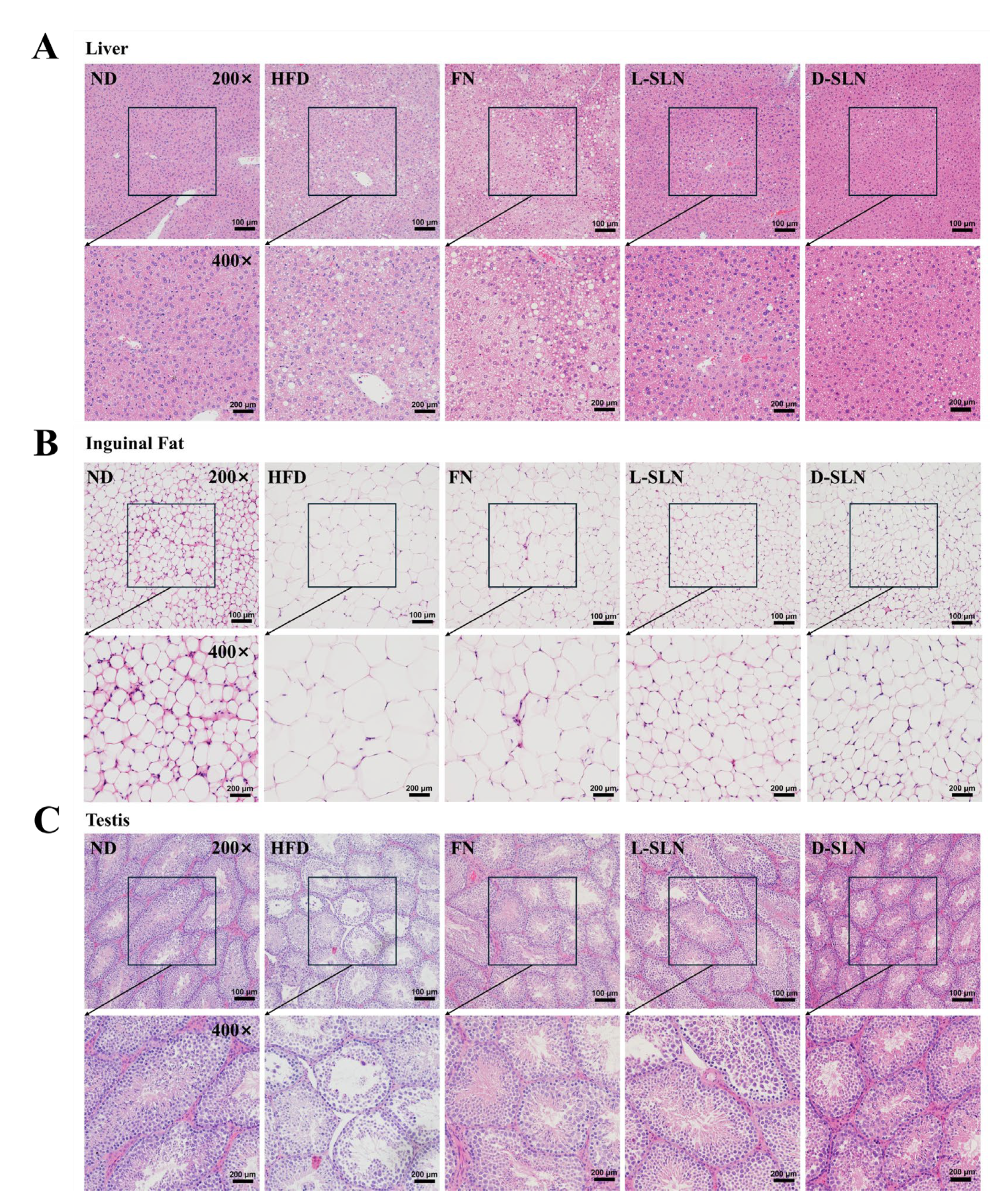Ijms 26 05249 g006 Ijms 26 05249 g006