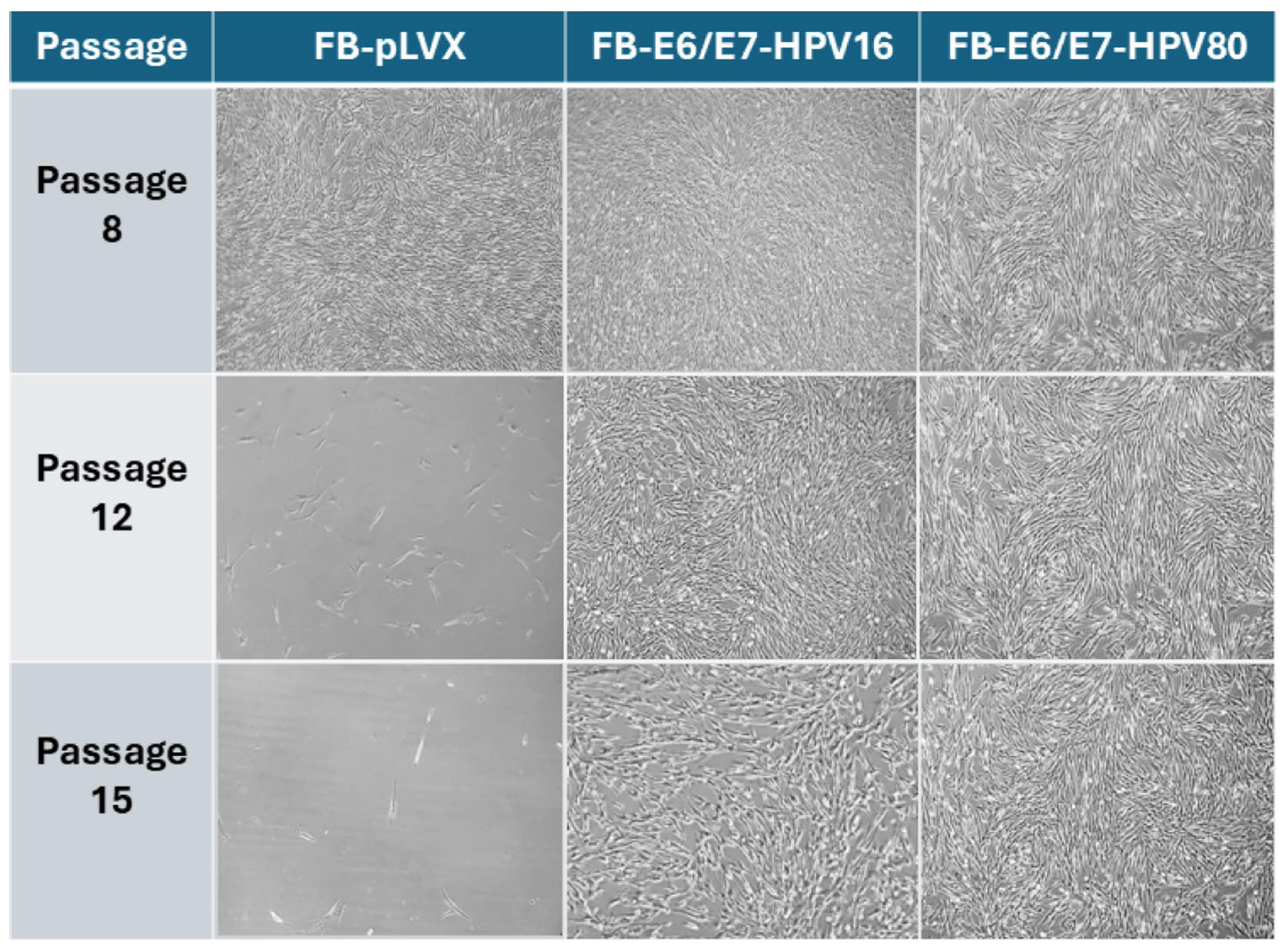 Ijms 26 05347 g002 Ijms 26 05347 g002