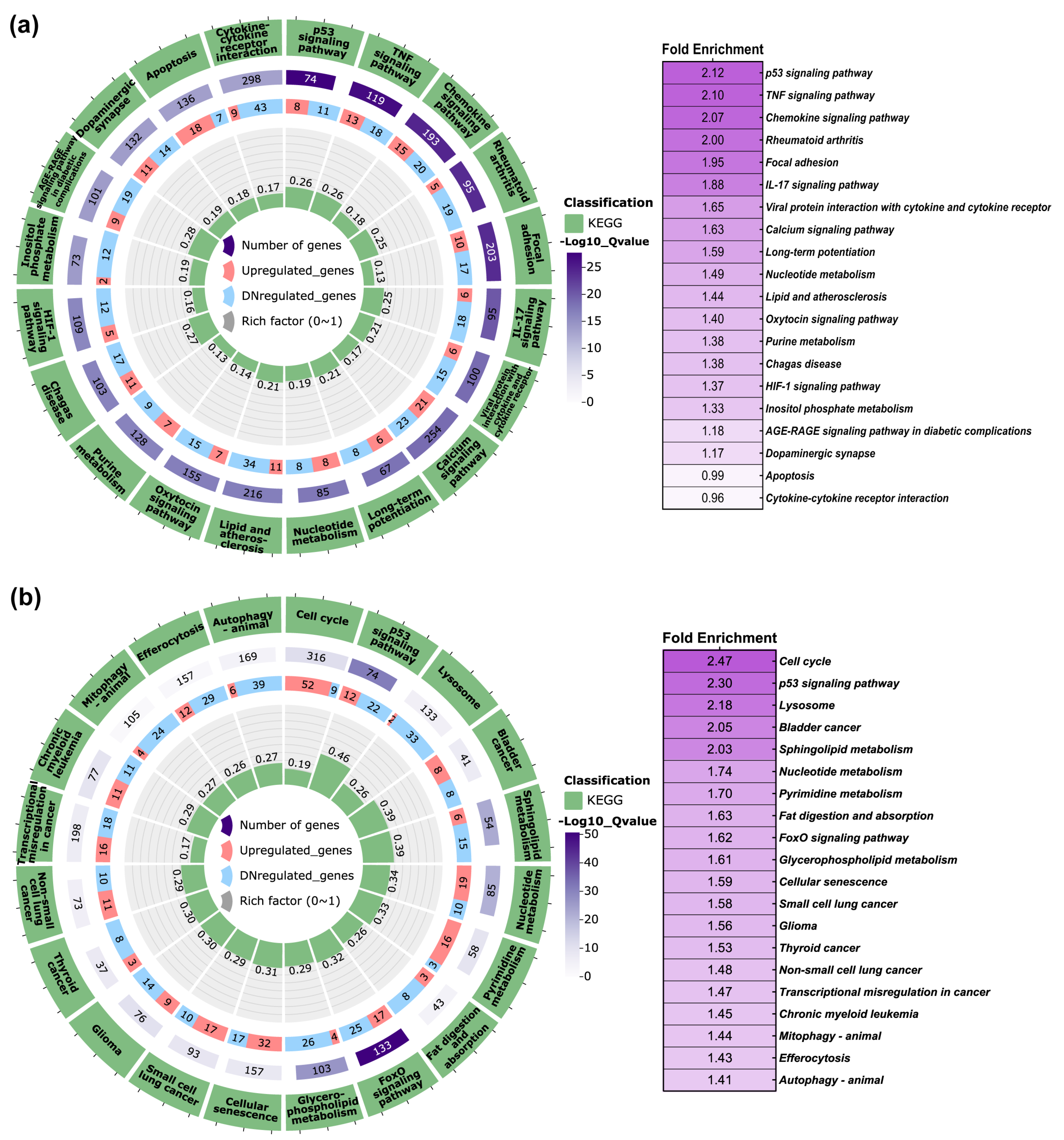 Ijms 26 05347 g008 Ijms 26 05347 g008