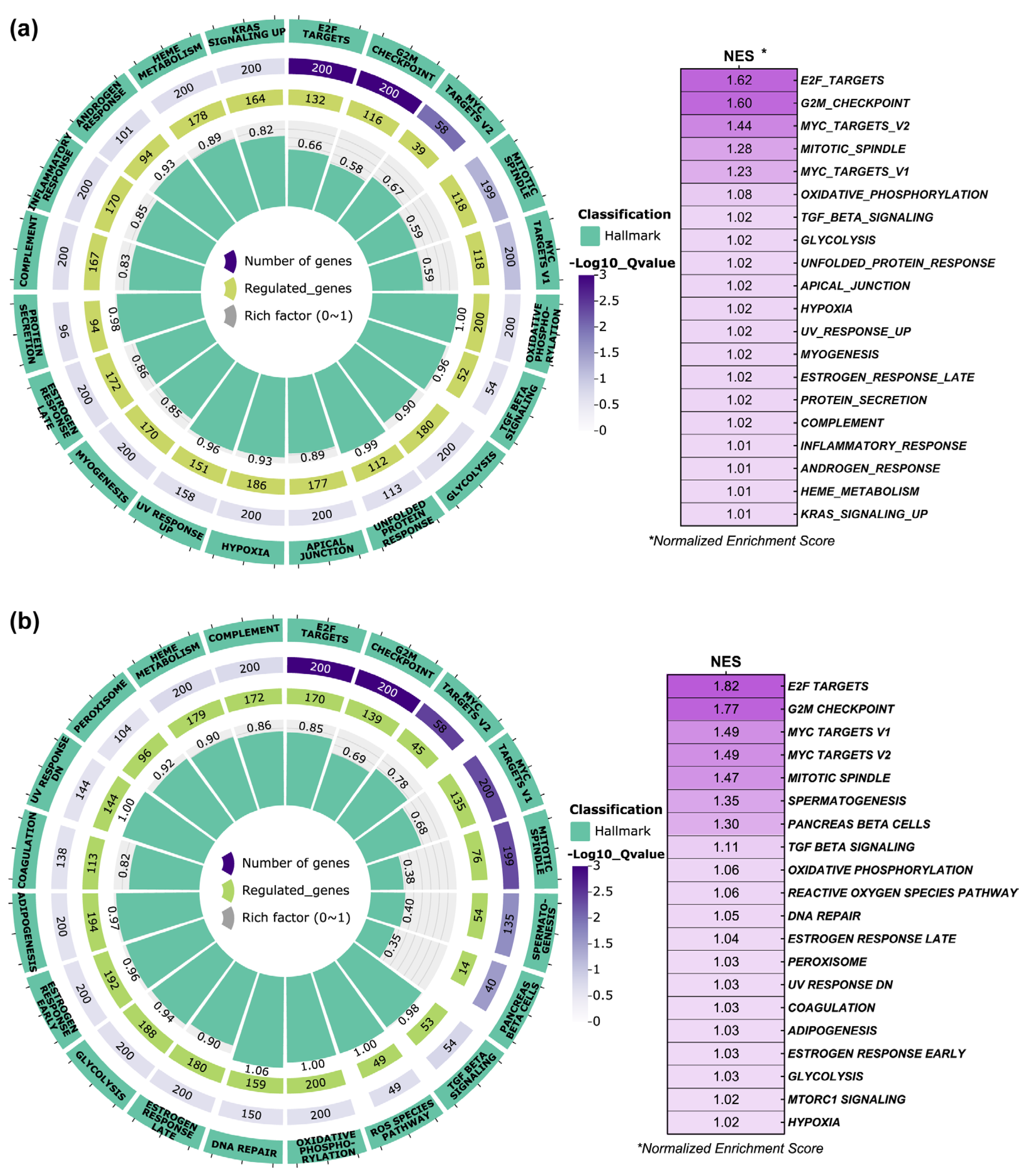 Ijms 26 05347 g009 Ijms 26 05347 g009