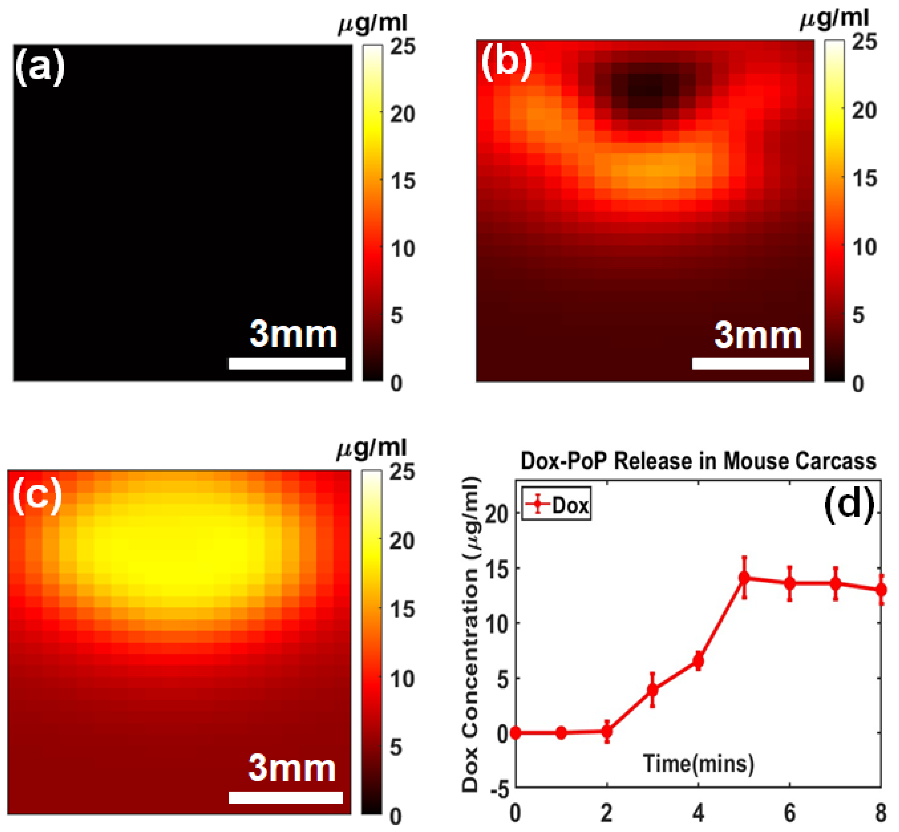 Ijms 26 05571 g005 Ijms 26 05571 g005