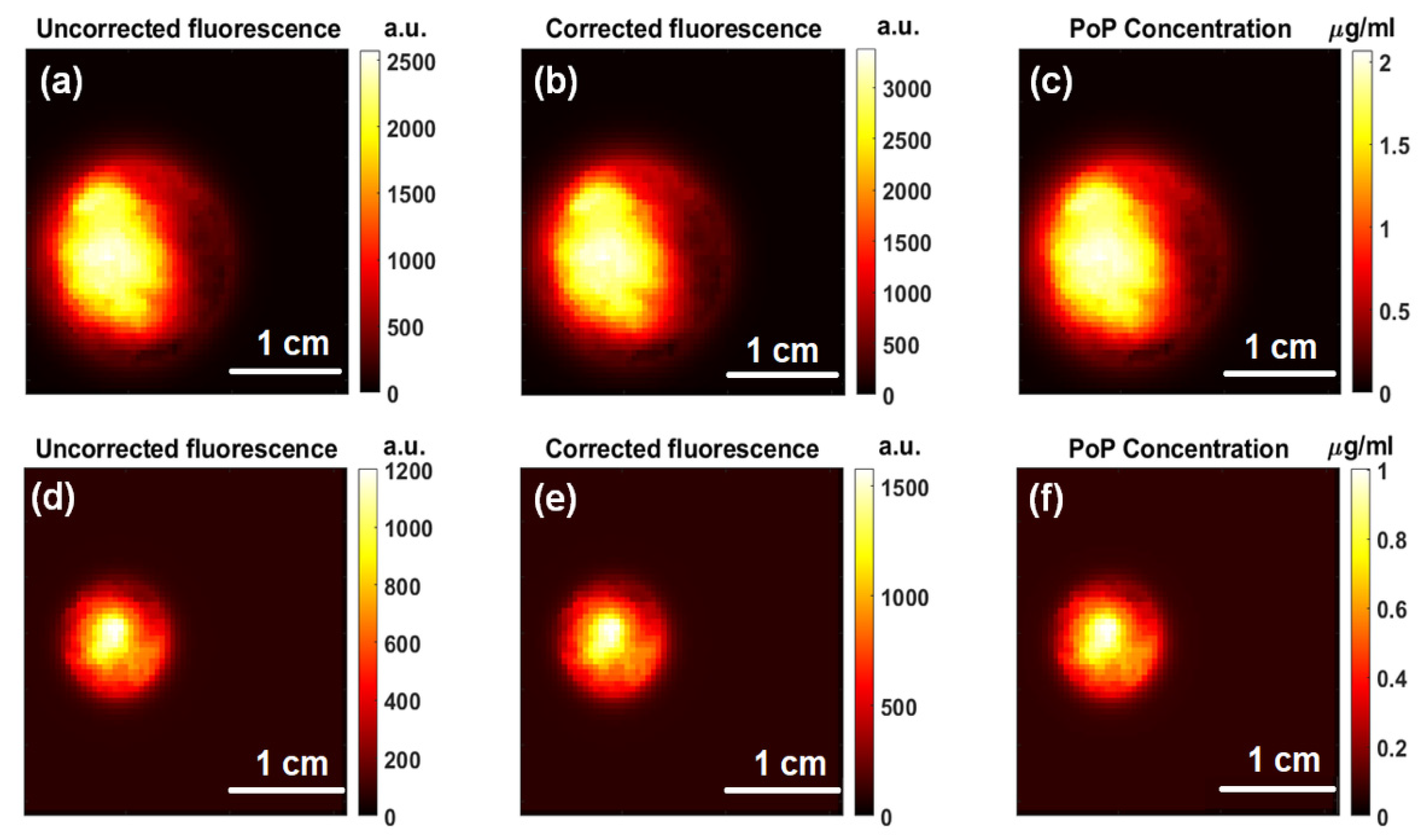 Ijms 26 05571 g006 Ijms 26 05571 g006