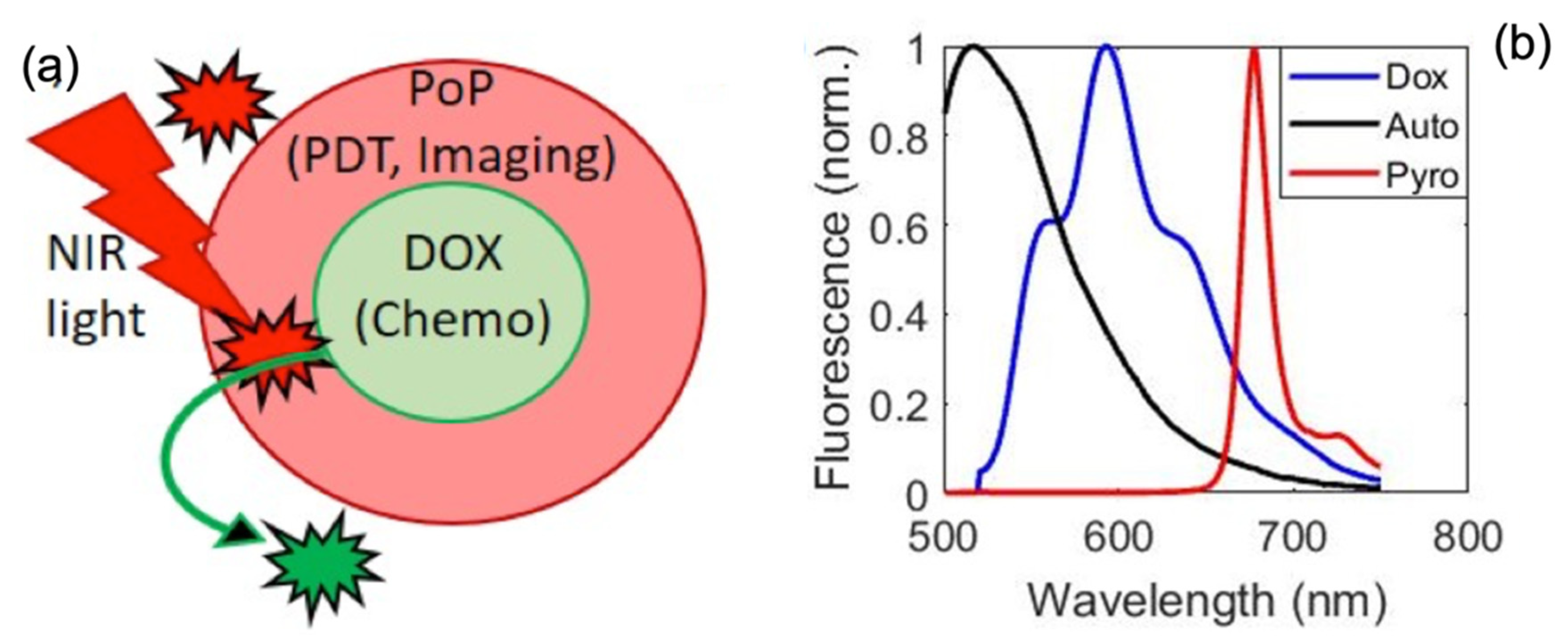 Ijms 26 05571 g009 Ijms 26 05571 g009