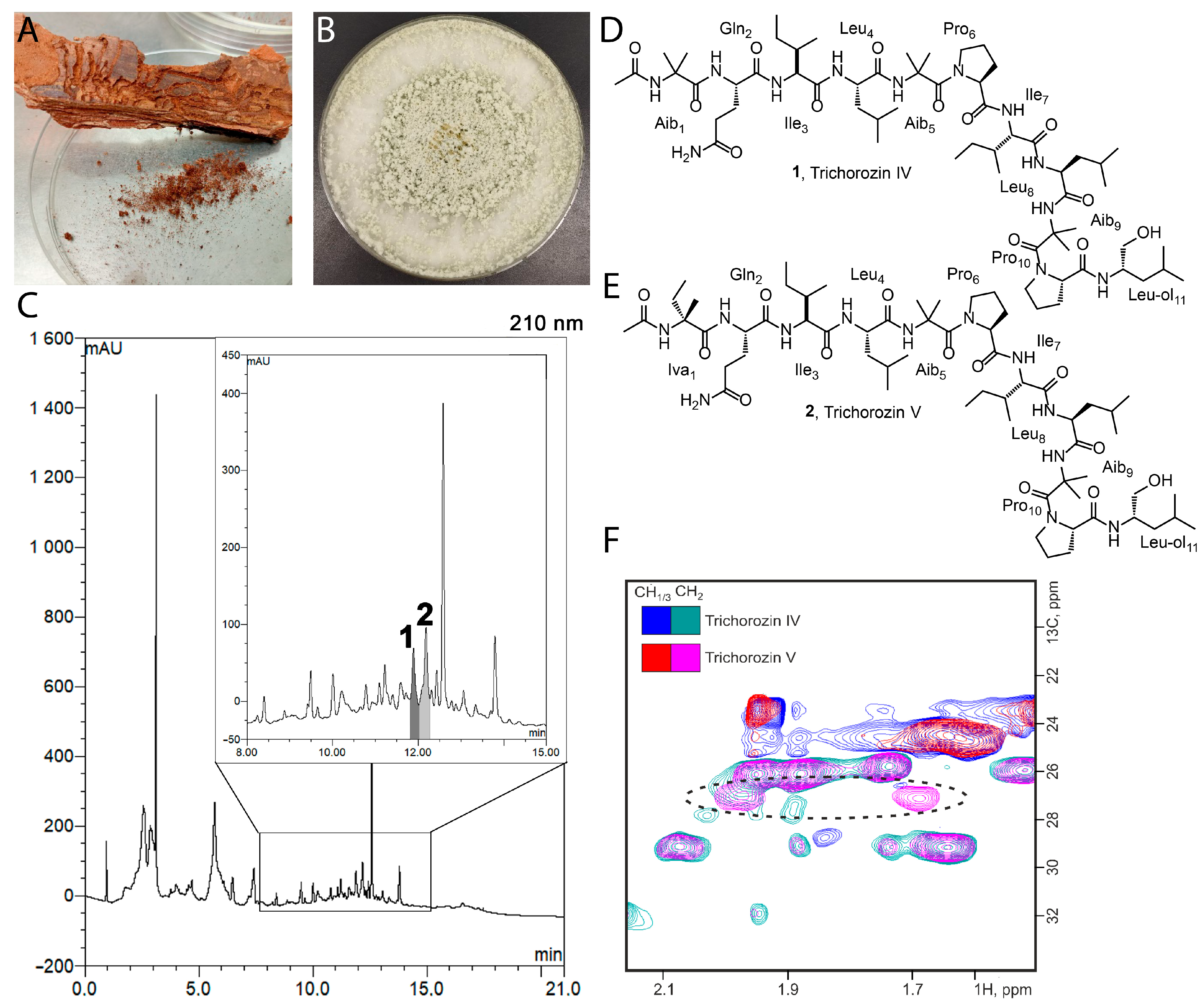 Ijms 26 05599 g002 Ijms 26 05599 g002
