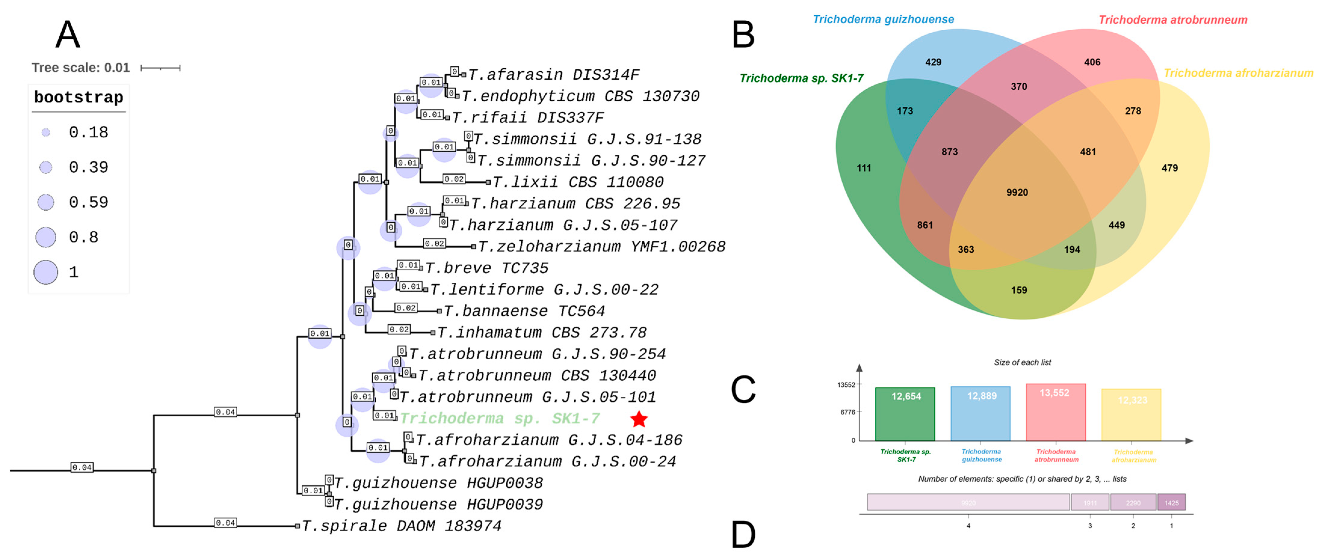 Ijms 26 05599 g003 Ijms 26 05599 g003