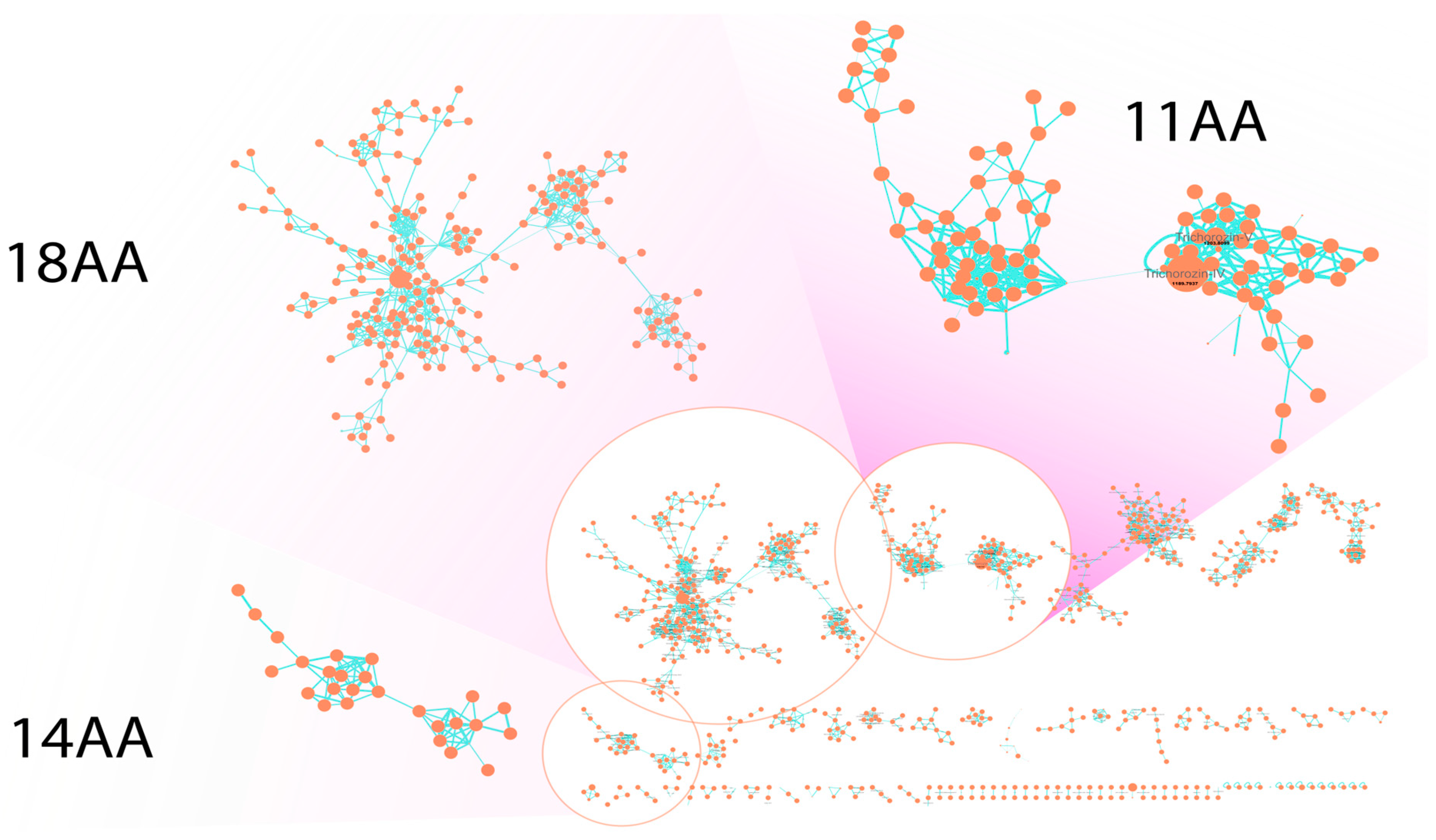 Ijms 26 05599 g004 Ijms 26 05599 g004