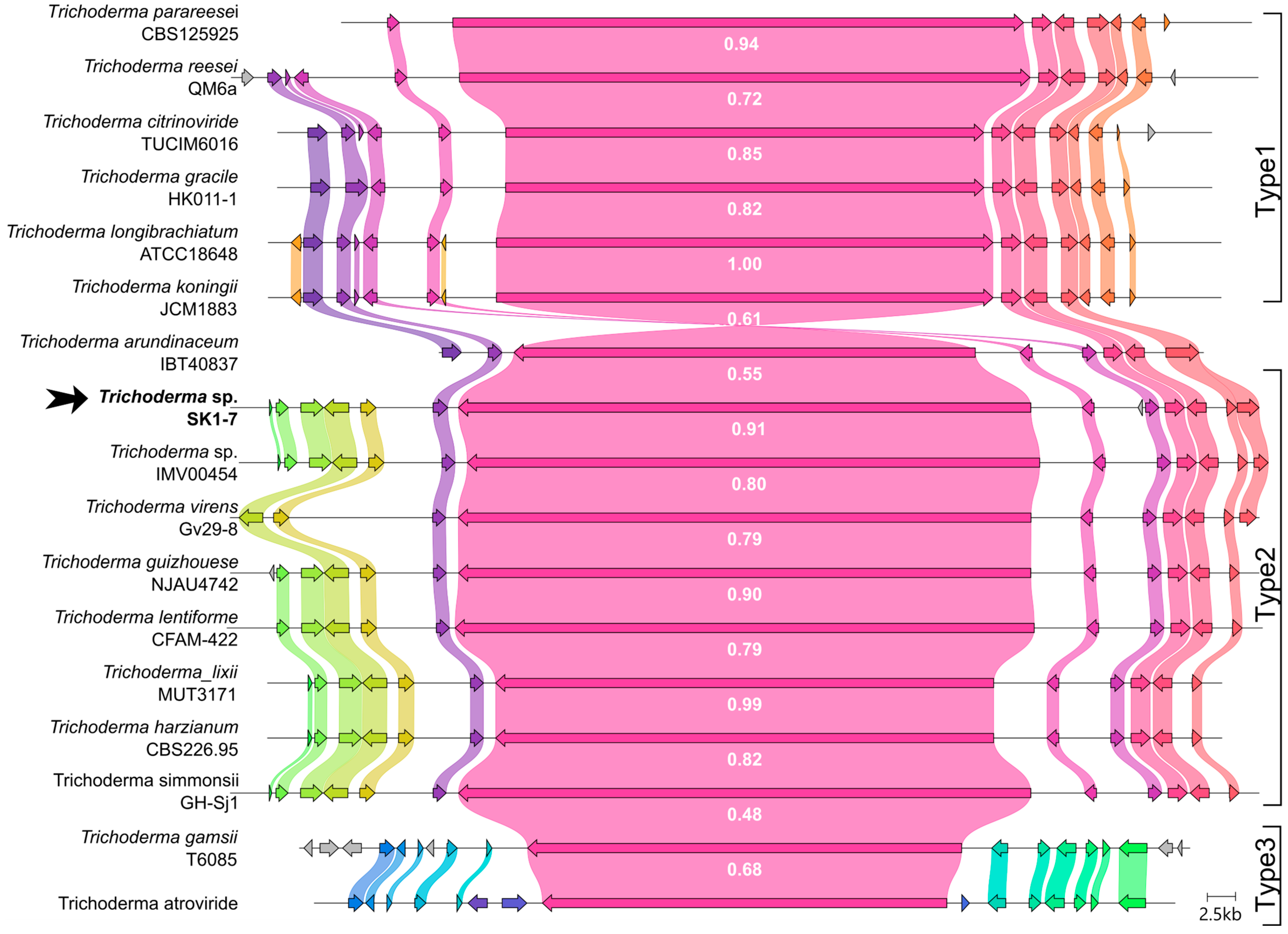 Ijms 26 05599 g005 Ijms 26 05599 g005