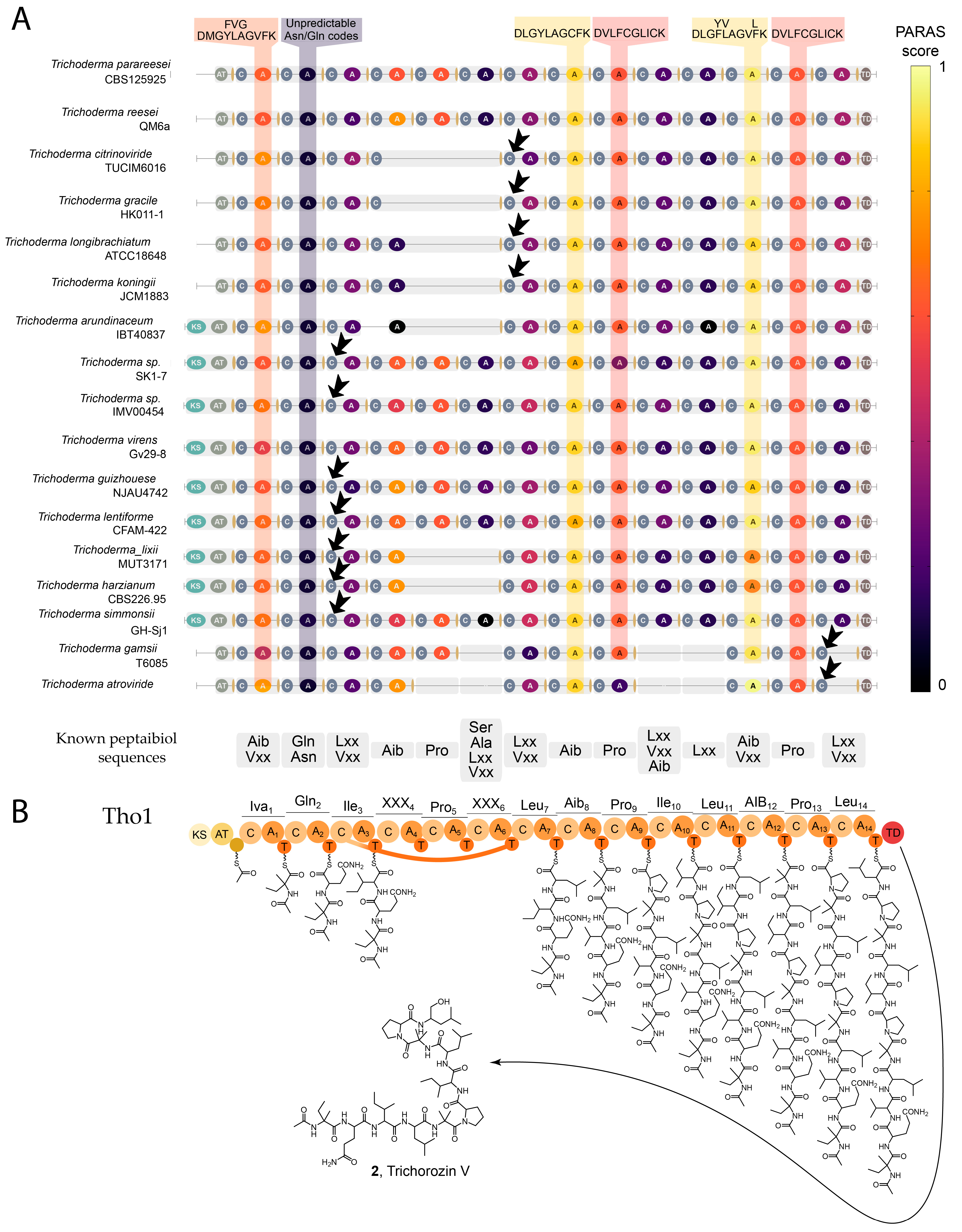 Ijms 26 05599 g006 Ijms 26 05599 g006