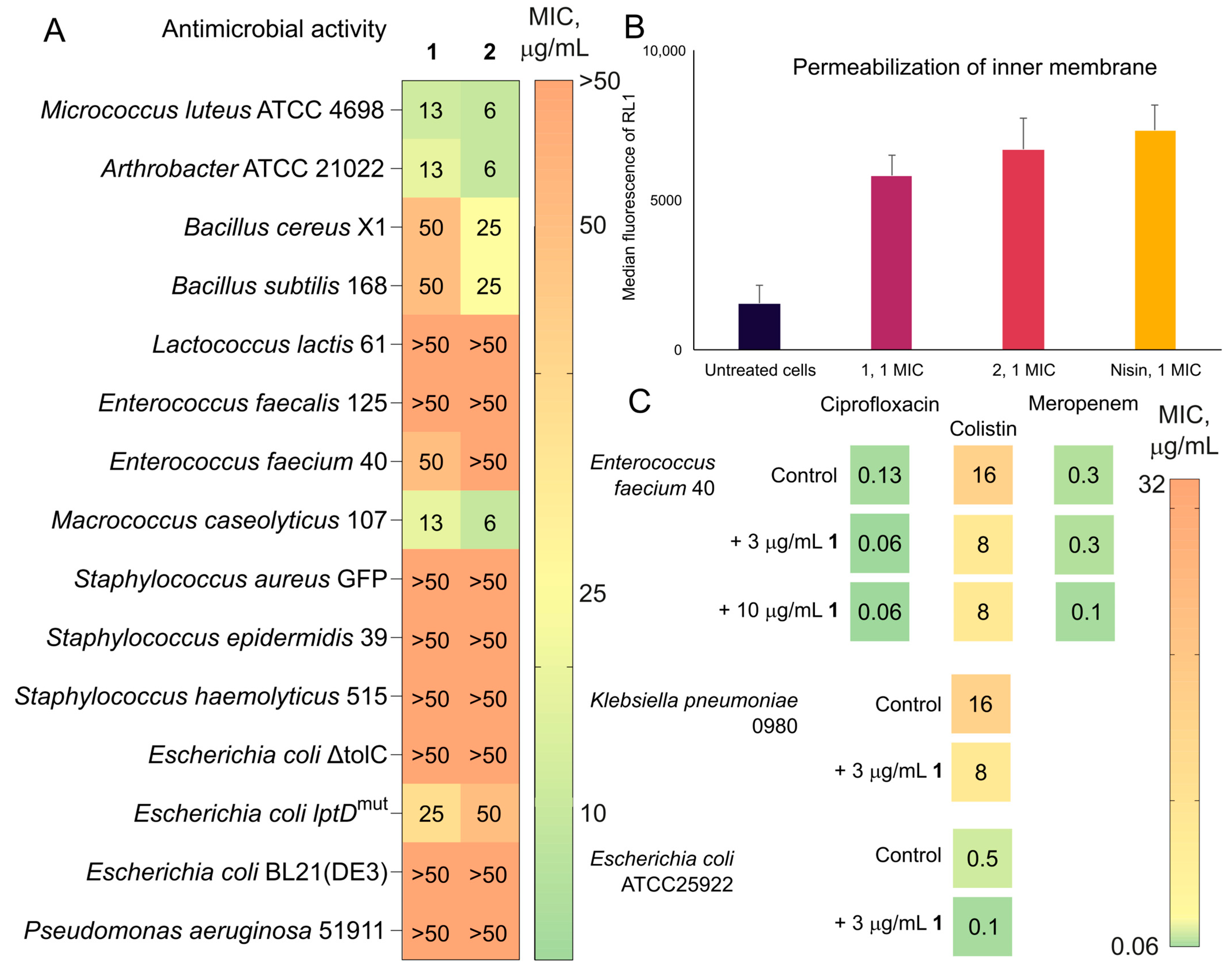 Ijms 26 05599 g008 Ijms 26 05599 g008