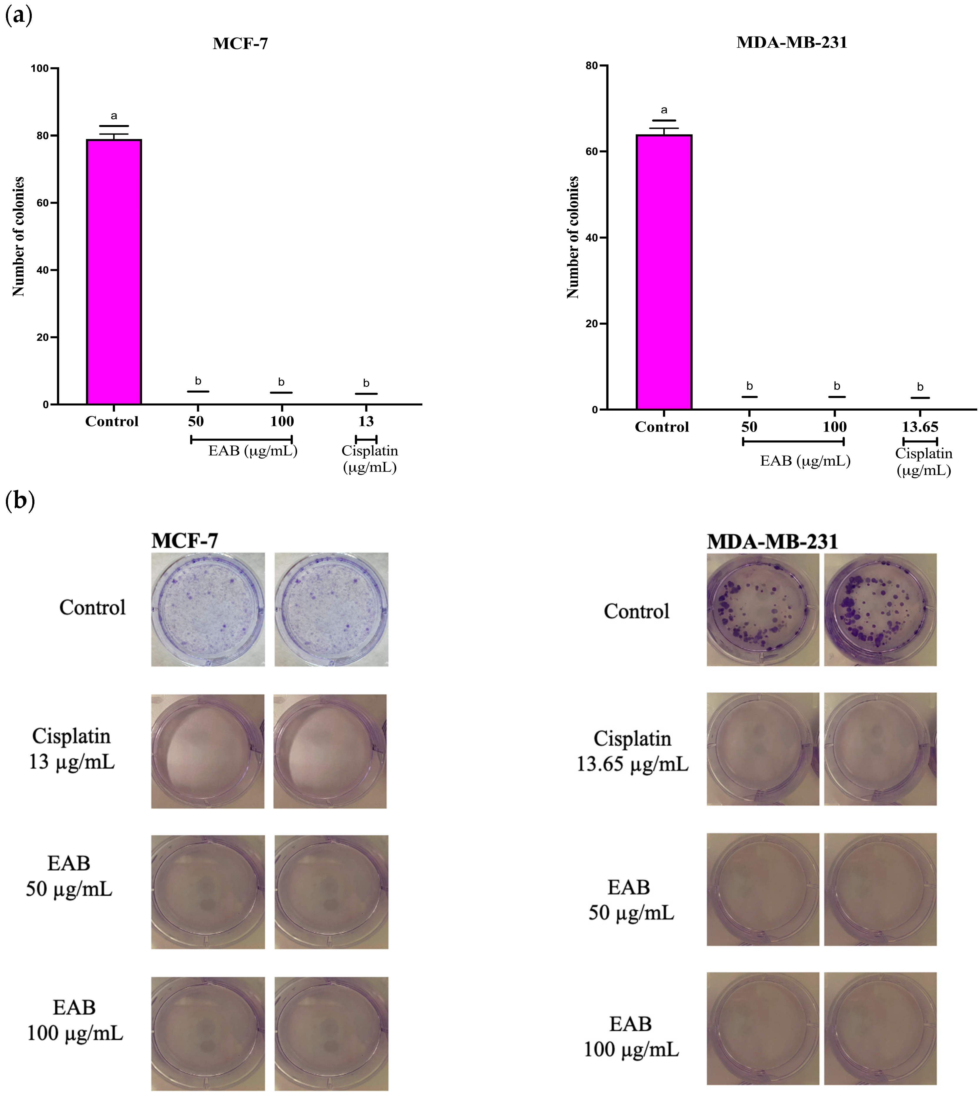 Ijms 26 05672 g003 Ijms 26 05672 g003