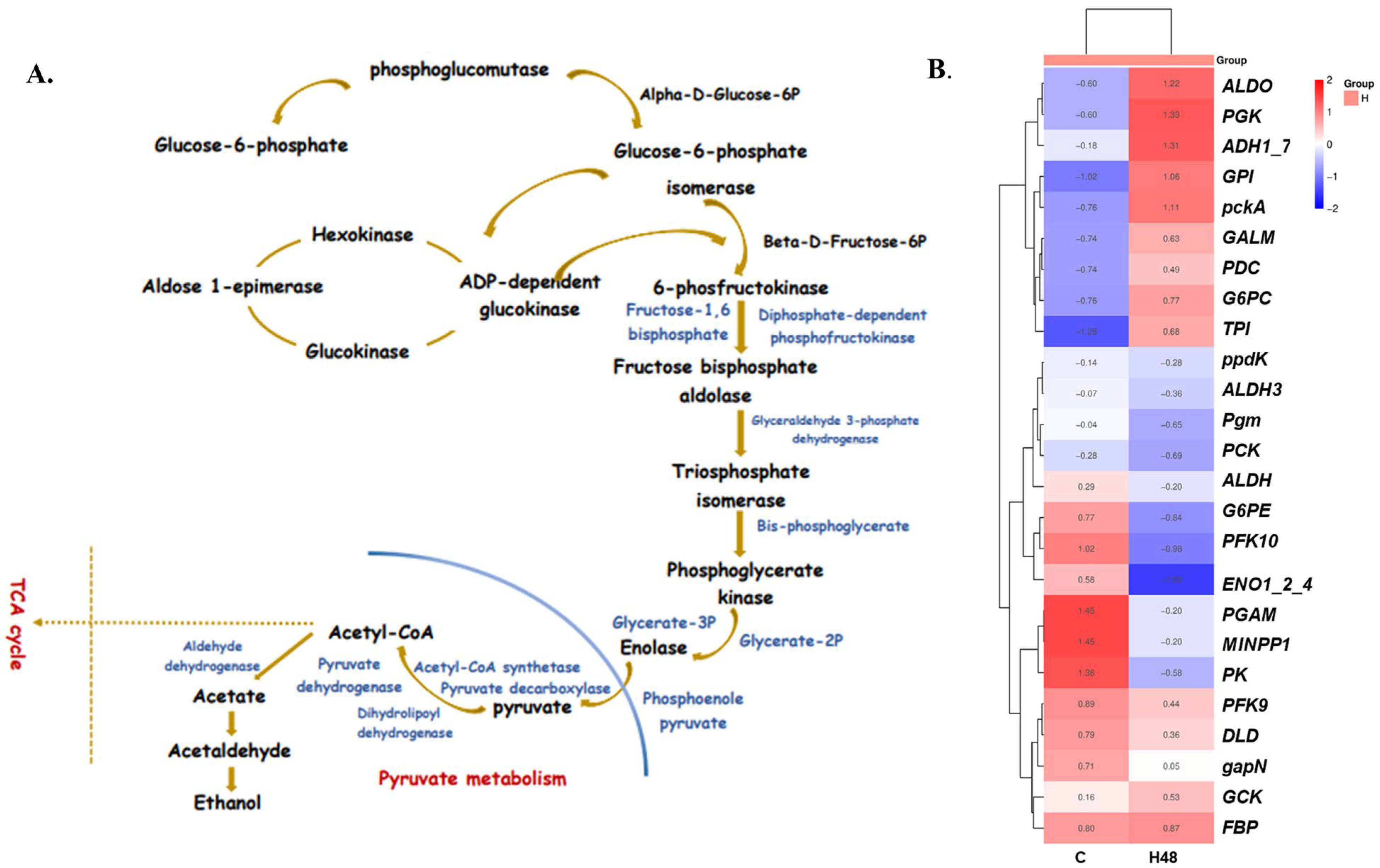 Ijms 26 06169 g002 Ijms 26 06169 g002