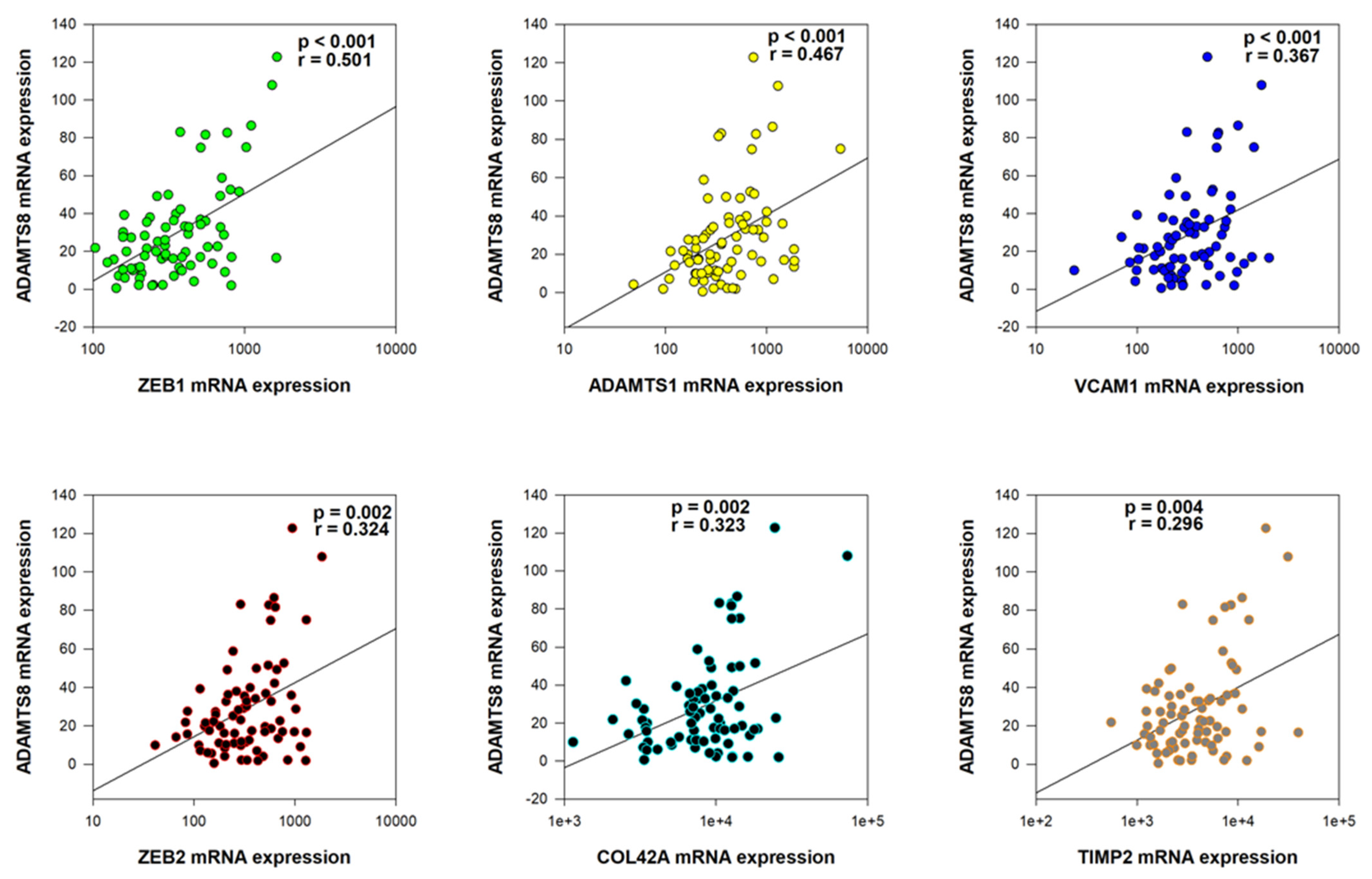 Ijms 26 06261 g002 Ijms 26 06261 g002