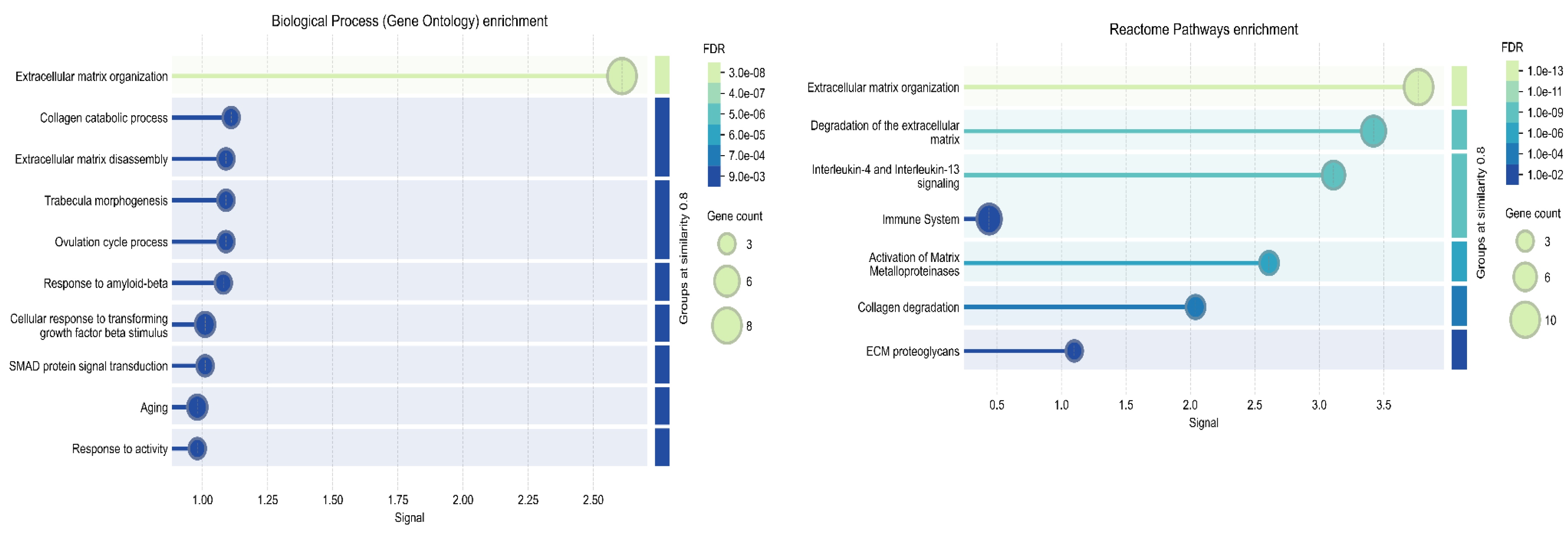 Ijms 26 06261 g004 Ijms 26 06261 g004