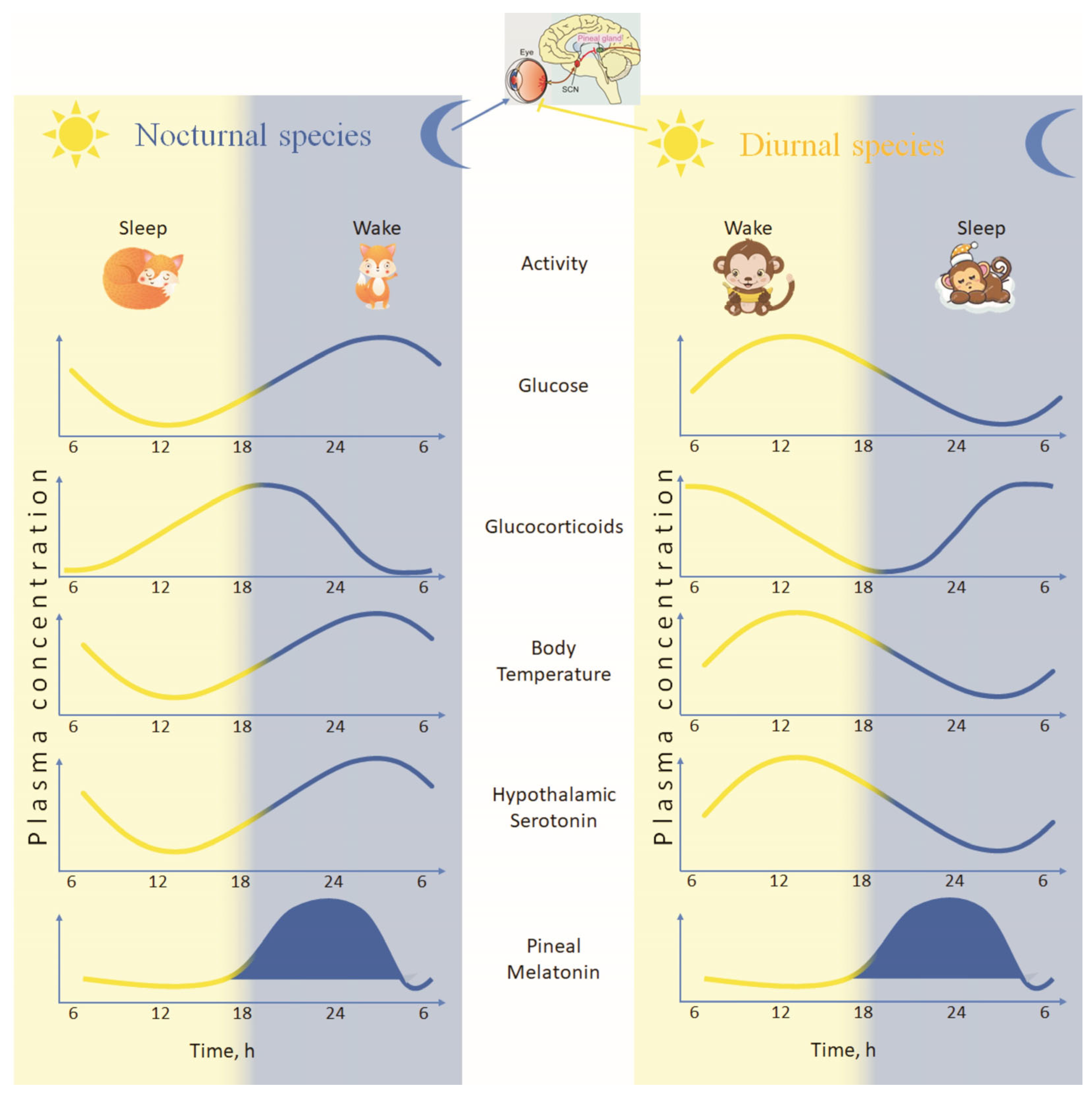 Ijms 26 06267 g001 Ijms 26 06267 g001