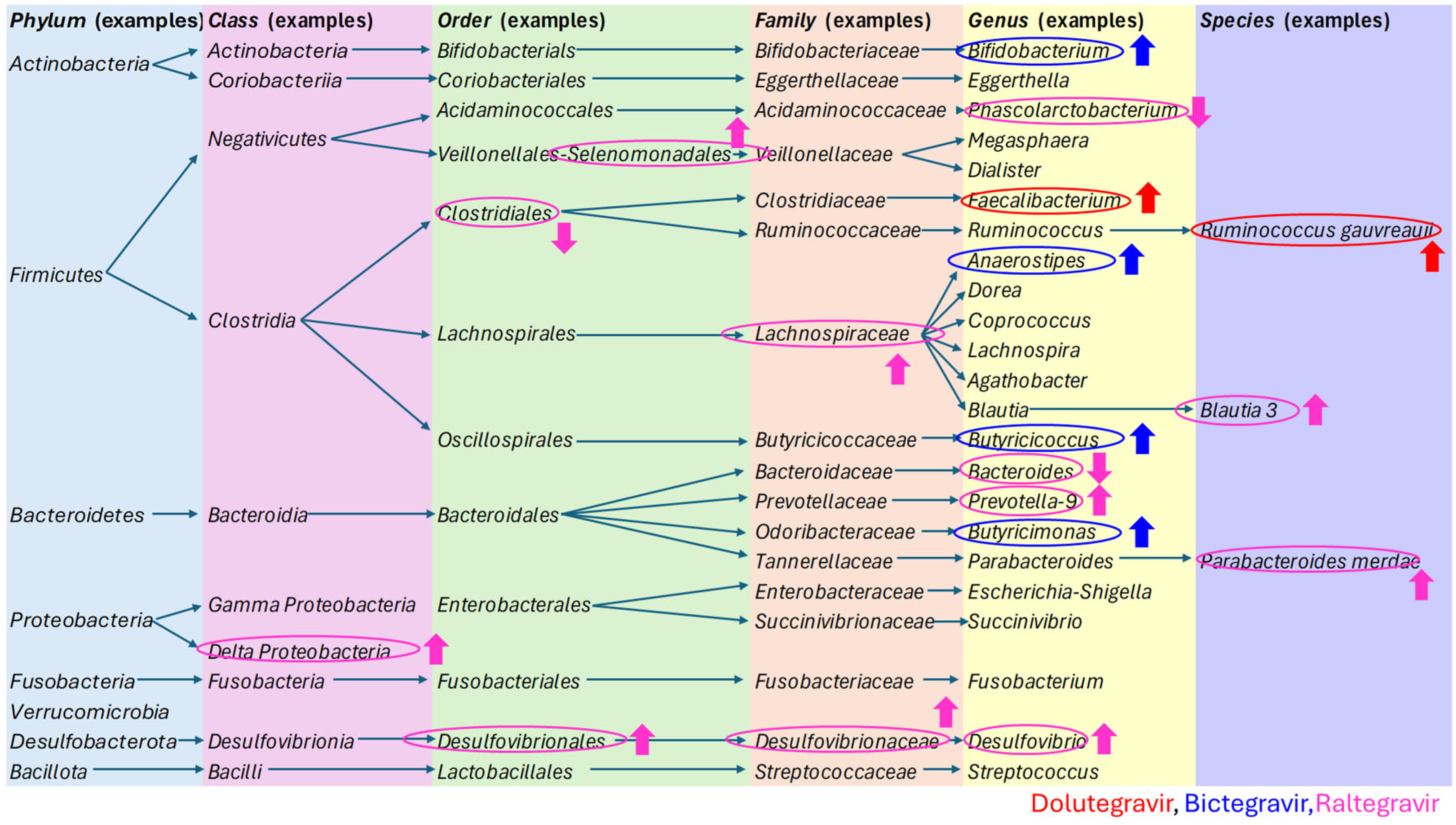 Ijms 26 06366 g002 Ijms 26 06366 g002