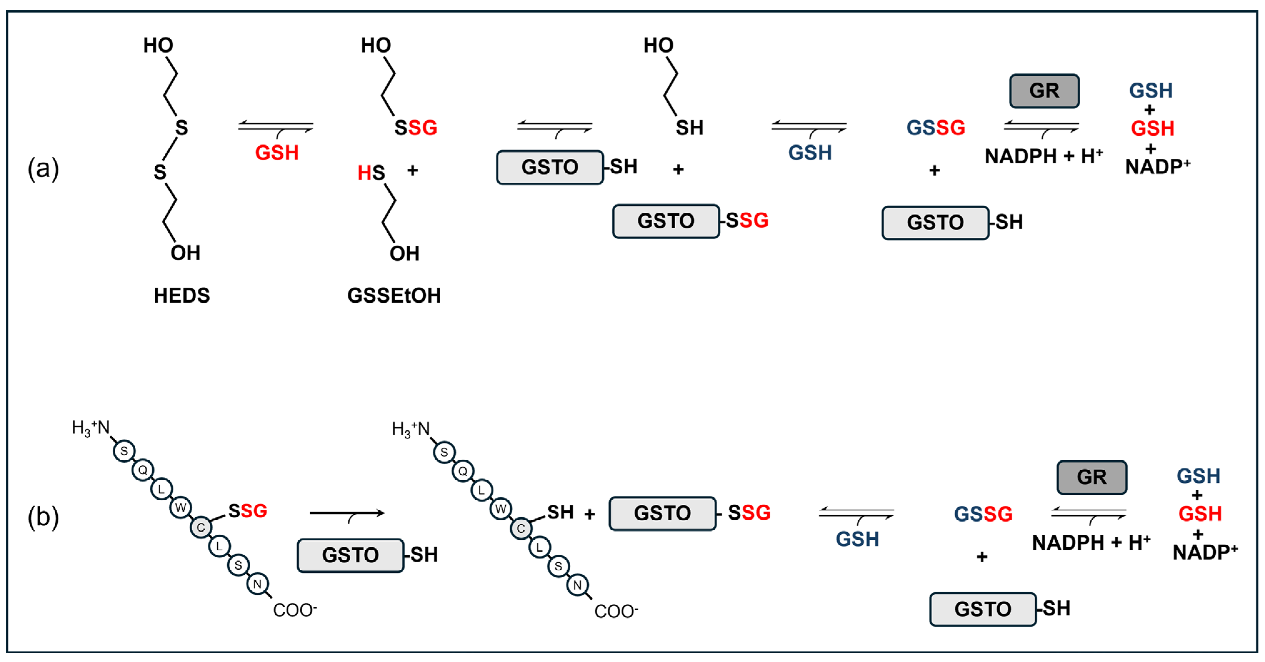 Ijms 26 06586 g001 Ijms 26 06586 g001