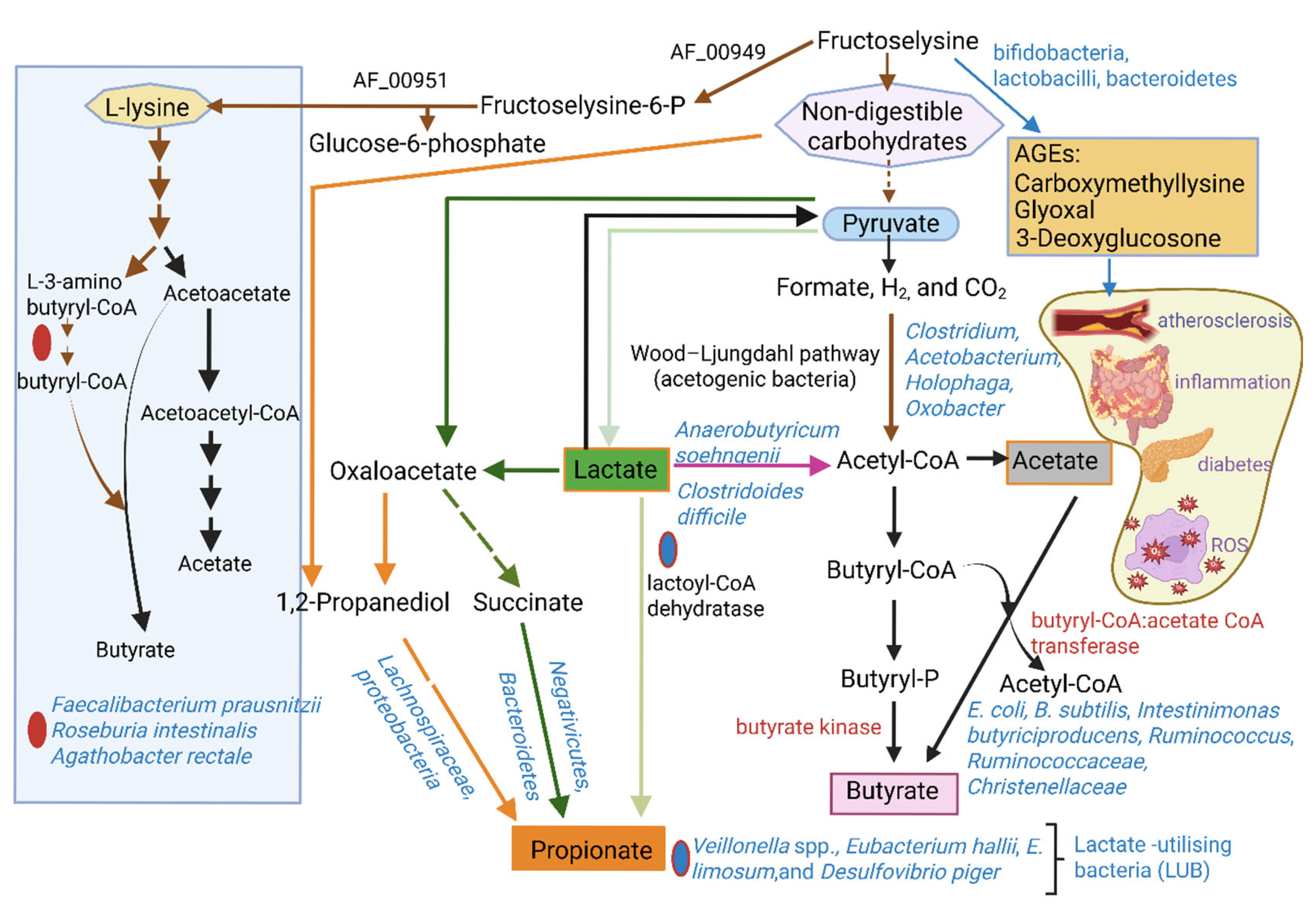 Ijms 26 06744 g002 Ijms 26 06744 g002