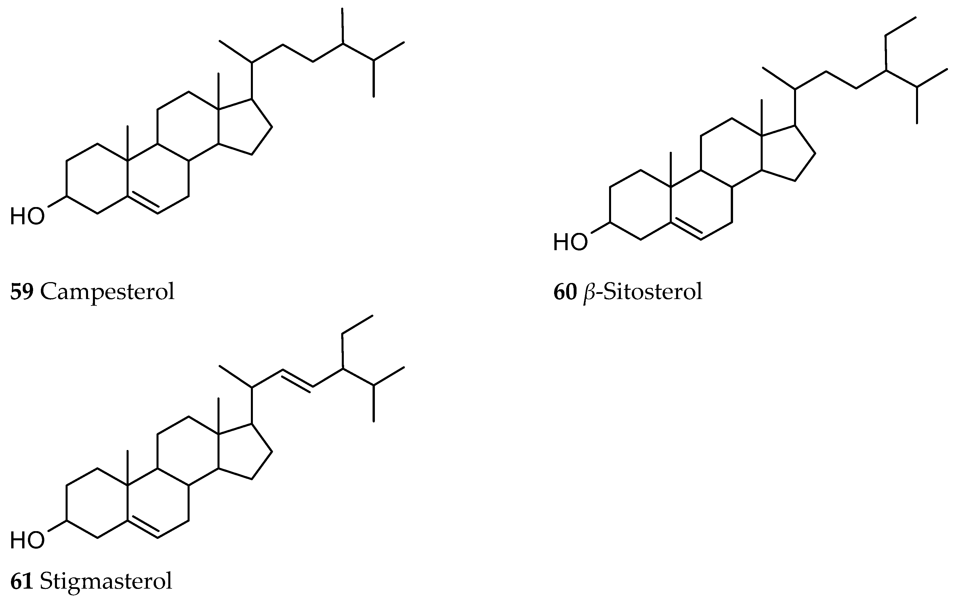 Ijms 26 06758 g009 Ijms 26 06758 g009