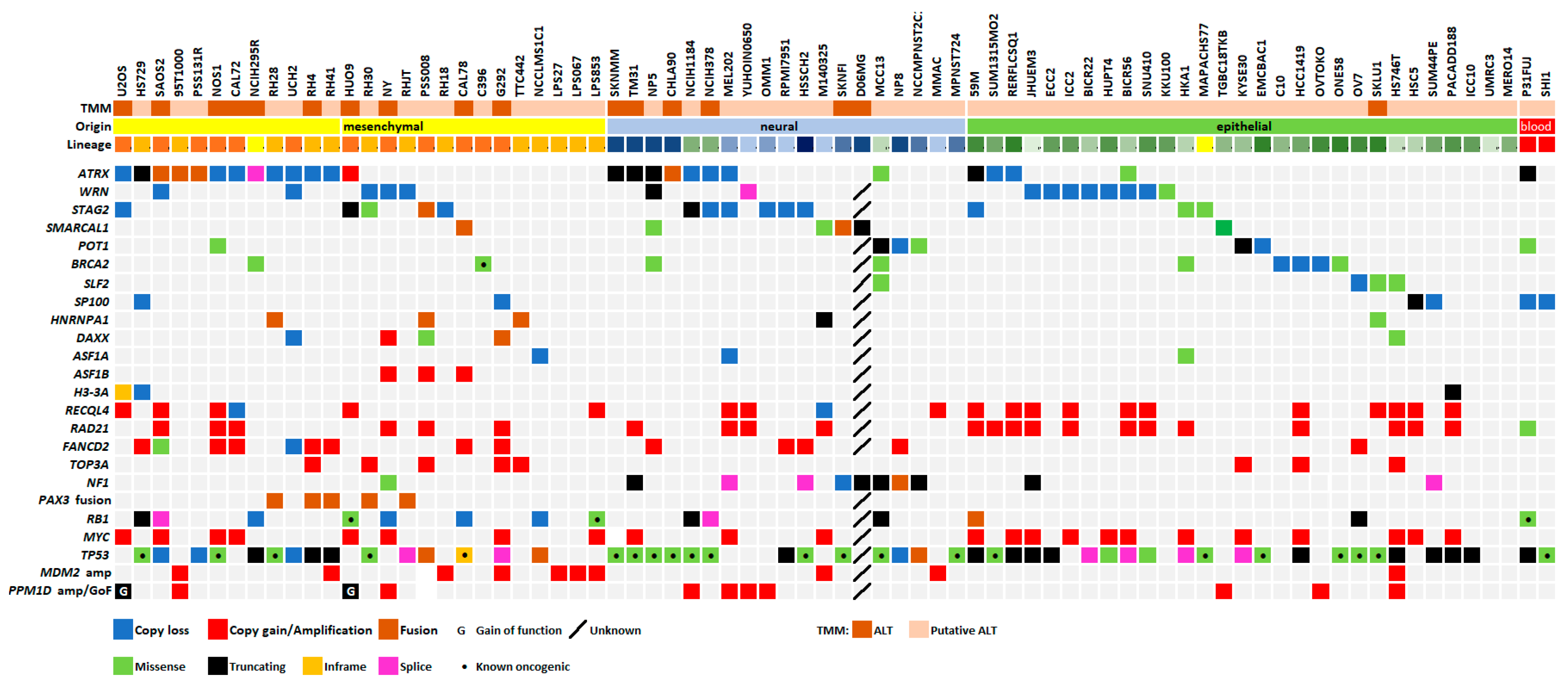 Ijms 26 06765 g003 Ijms 26 06765 g003