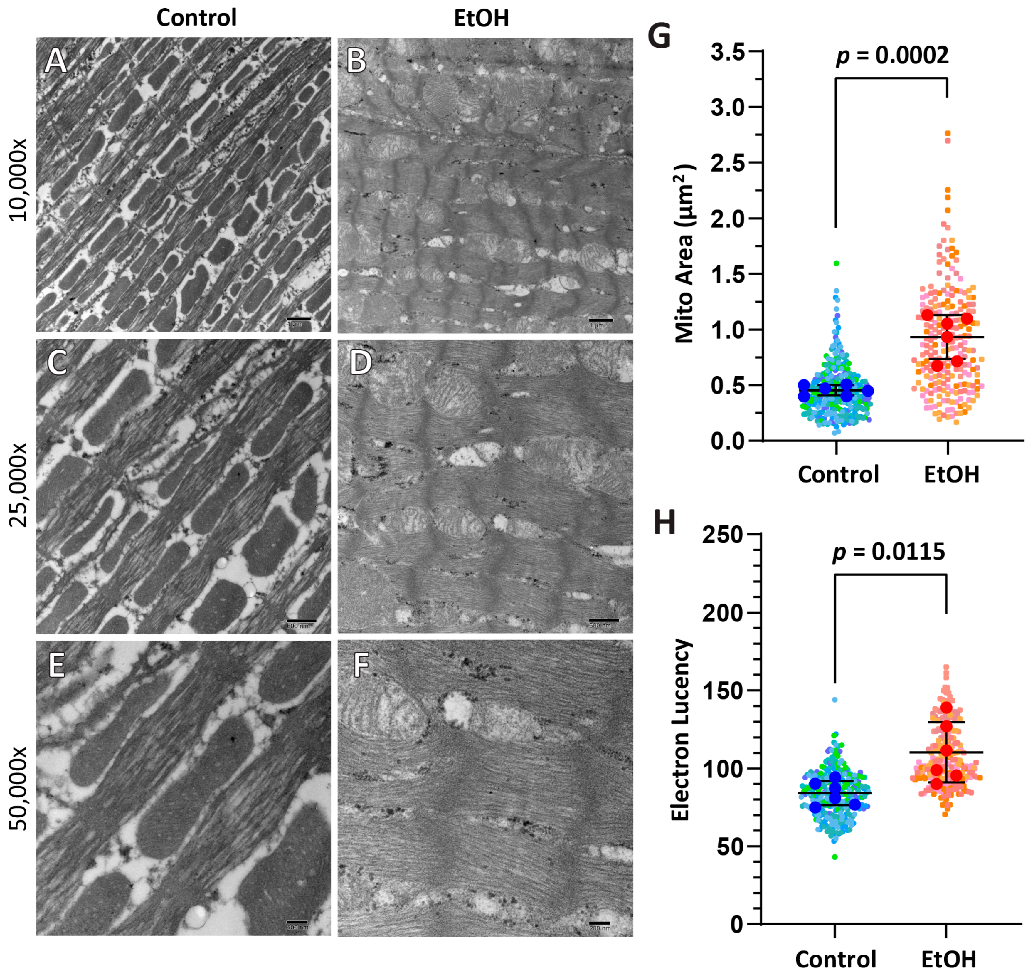 Ijms 26 06766 g003 Ijms 26 06766 g003