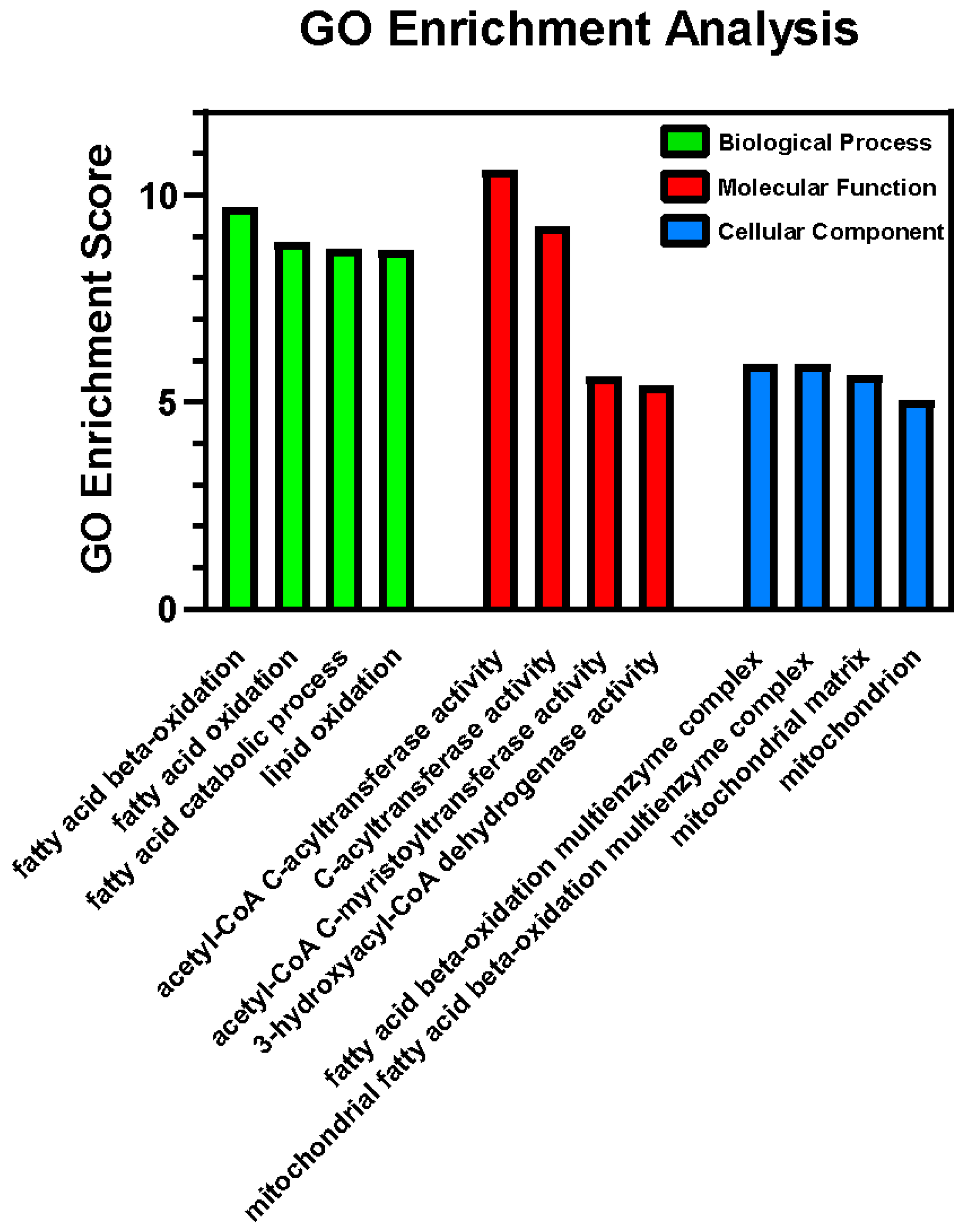 Ijms 26 06766 g004 Ijms 26 06766 g004