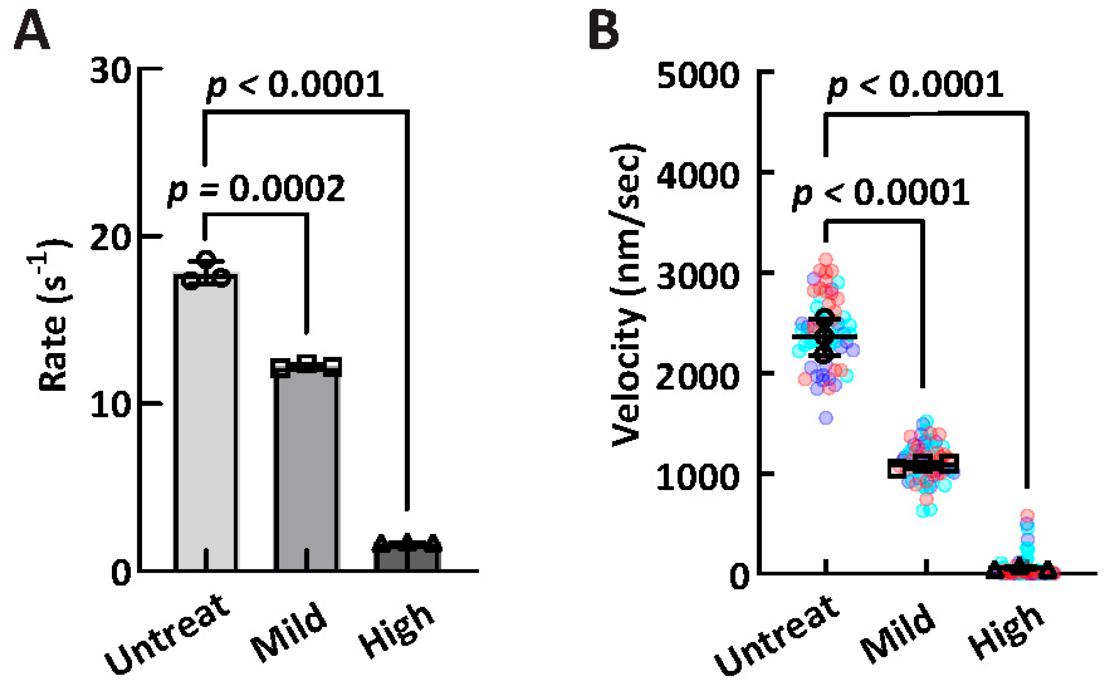 Ijms 26 06766 g007 Ijms 26 06766 g007