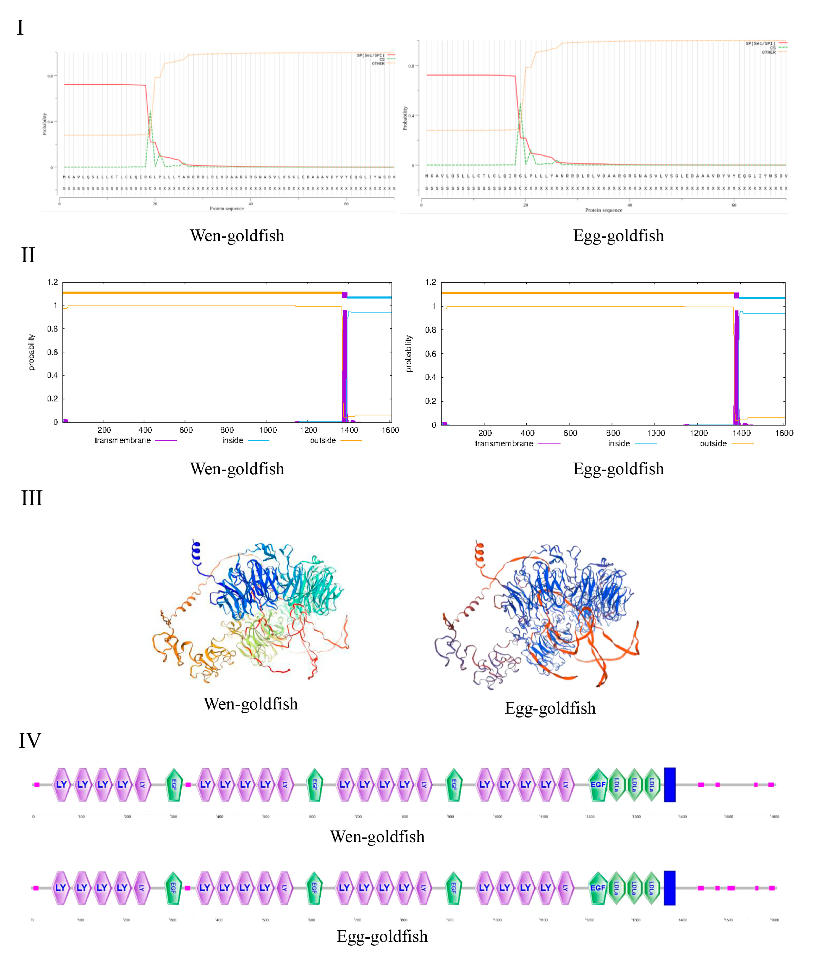 Ijms 26 07067 g001 Ijms 26 07067 g001