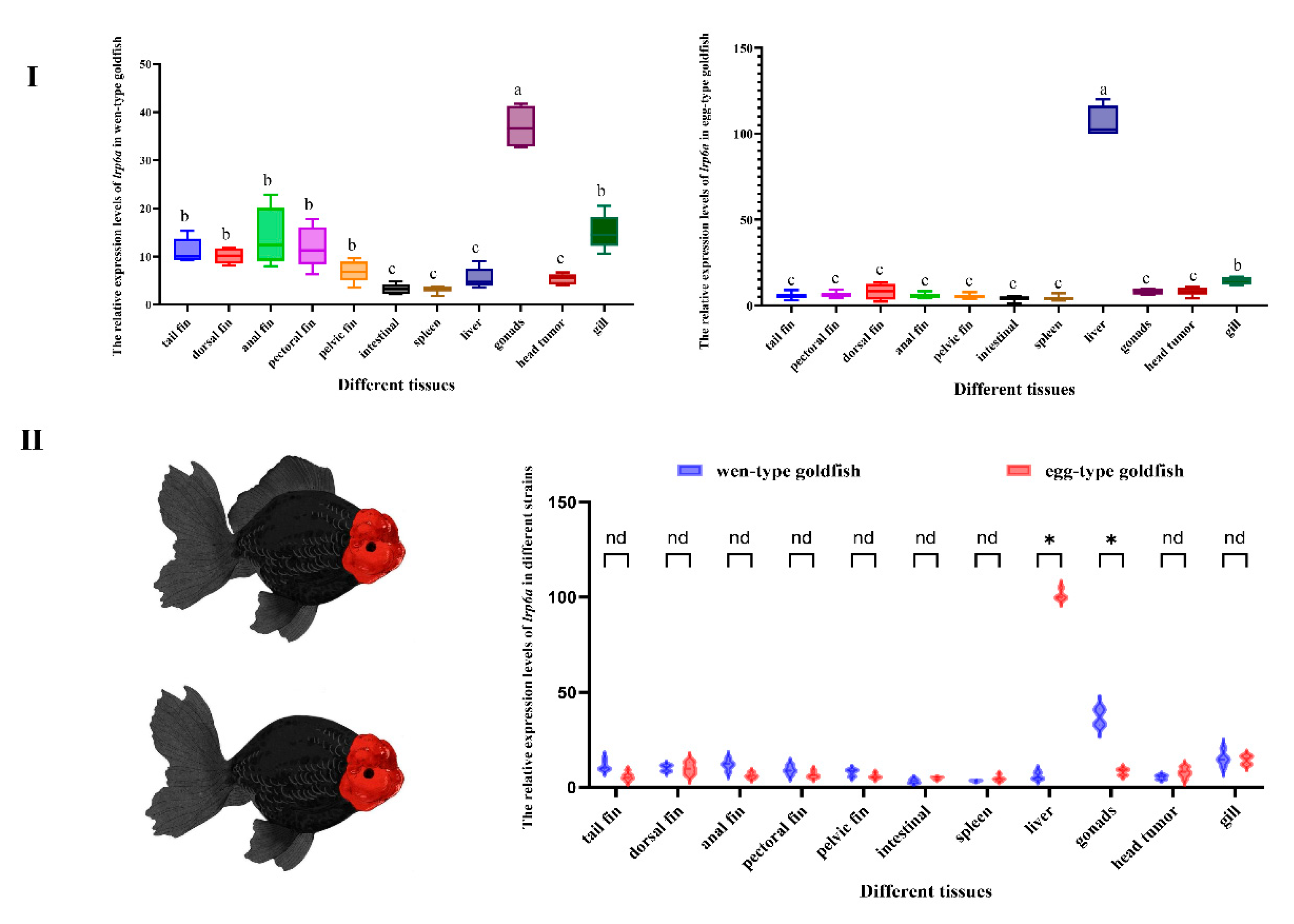 Ijms 26 07067 g004 Ijms 26 07067 g004