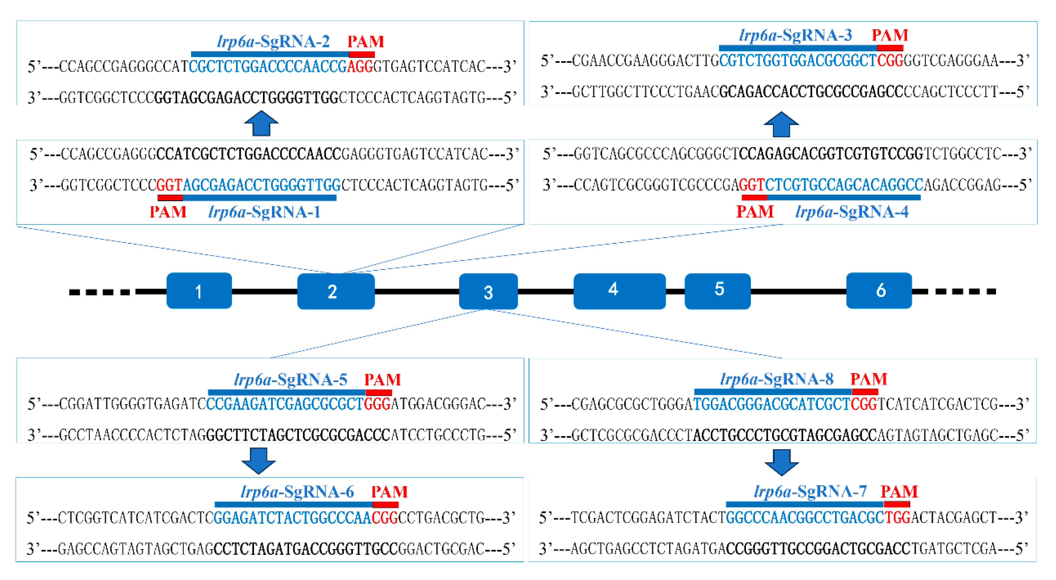 Ijms 26 07067 g005 Ijms 26 07067 g005