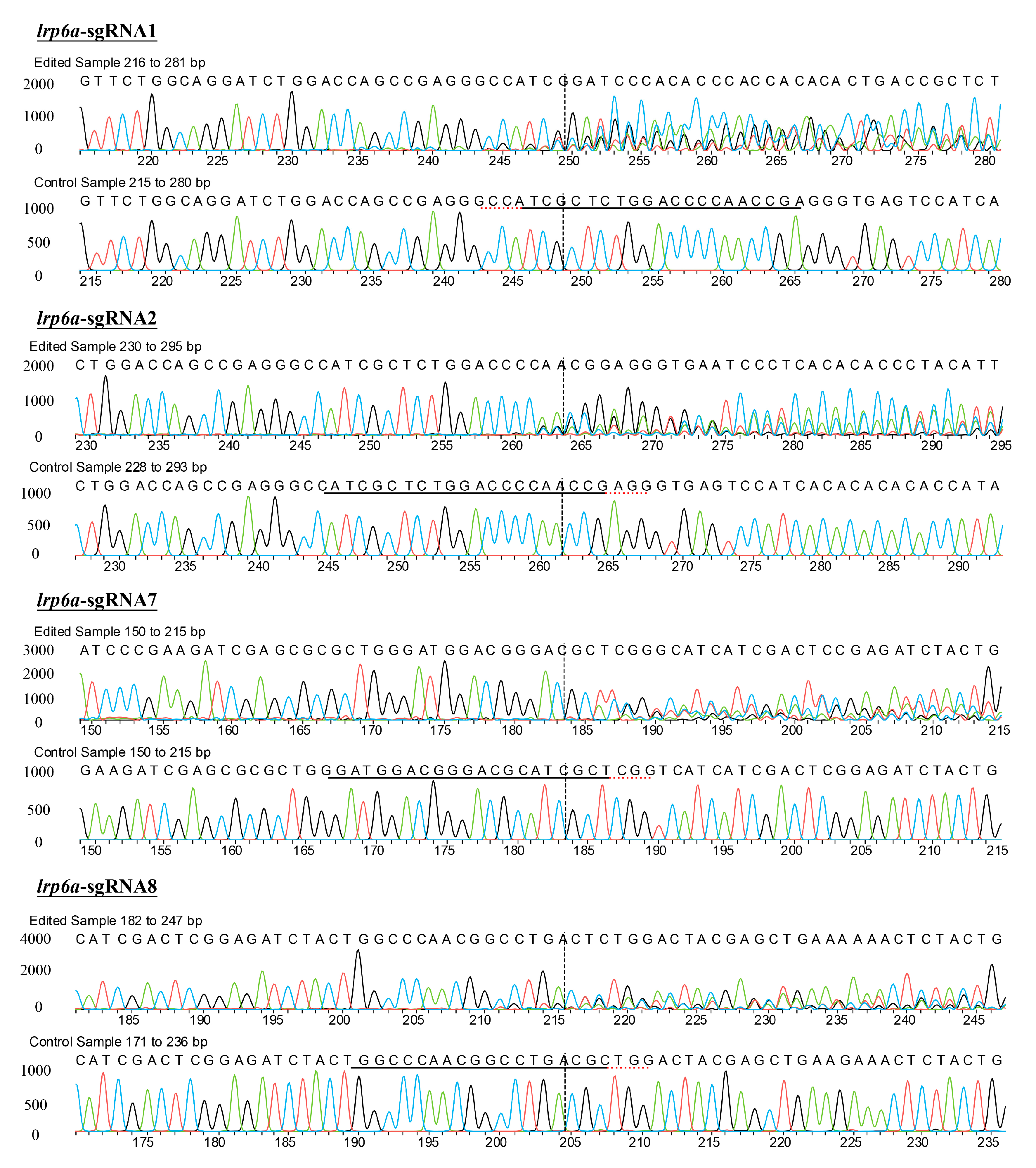 Ijms 26 07067 g006 Ijms 26 07067 g006