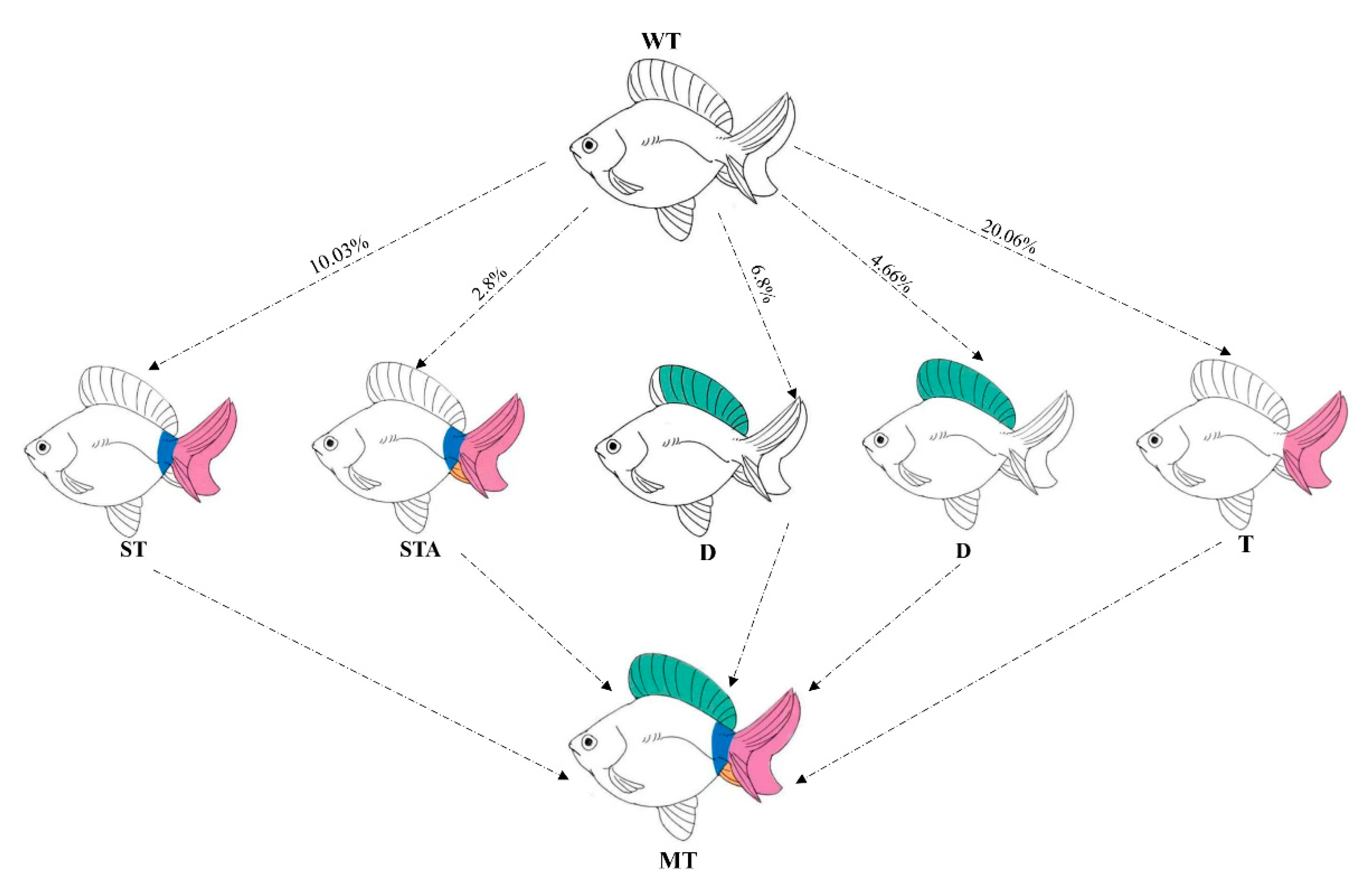 Ijms 26 07067 g011 Ijms 26 07067 g011