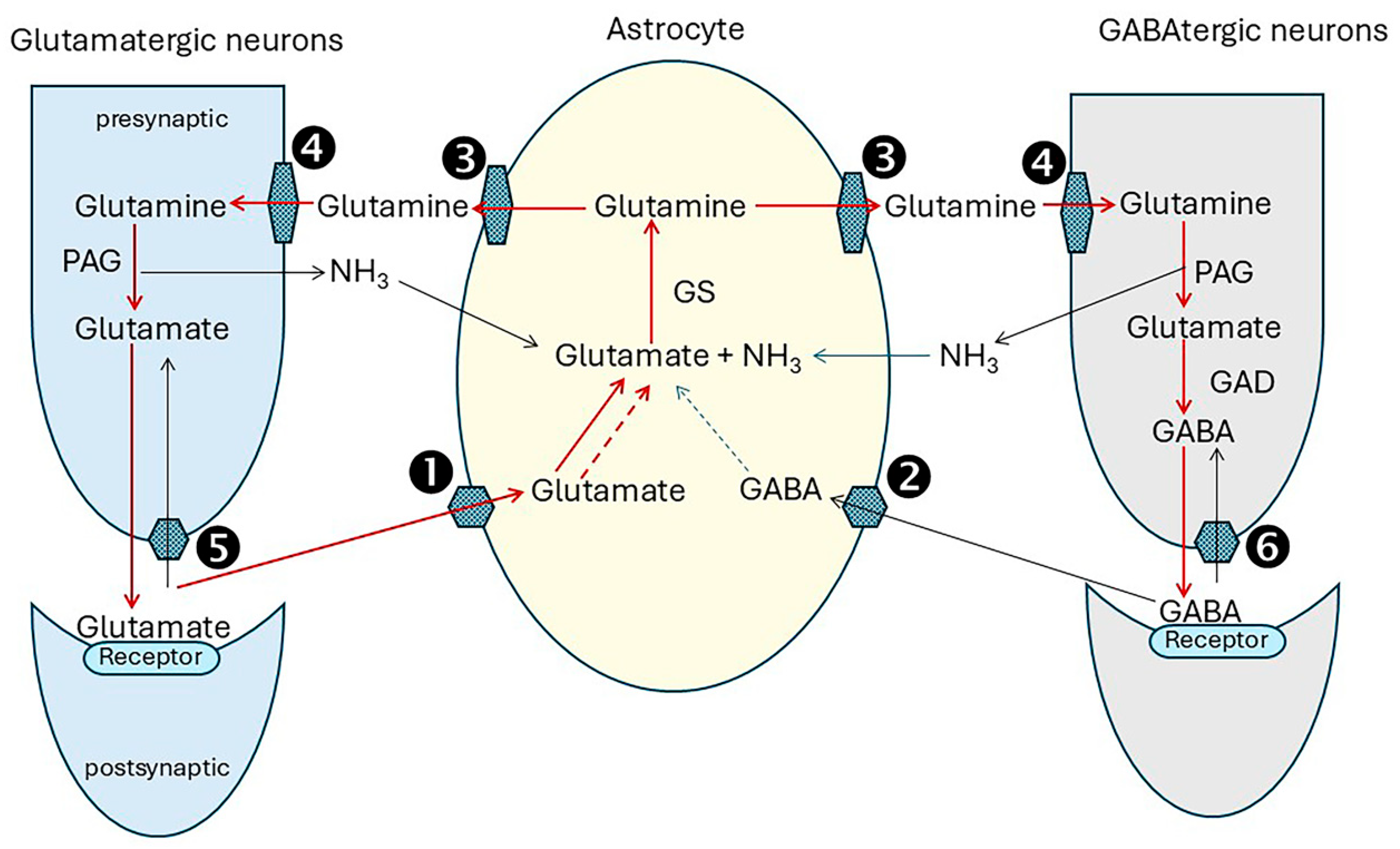 Ijms 26 07328 g003 Ijms 26 07328 g003