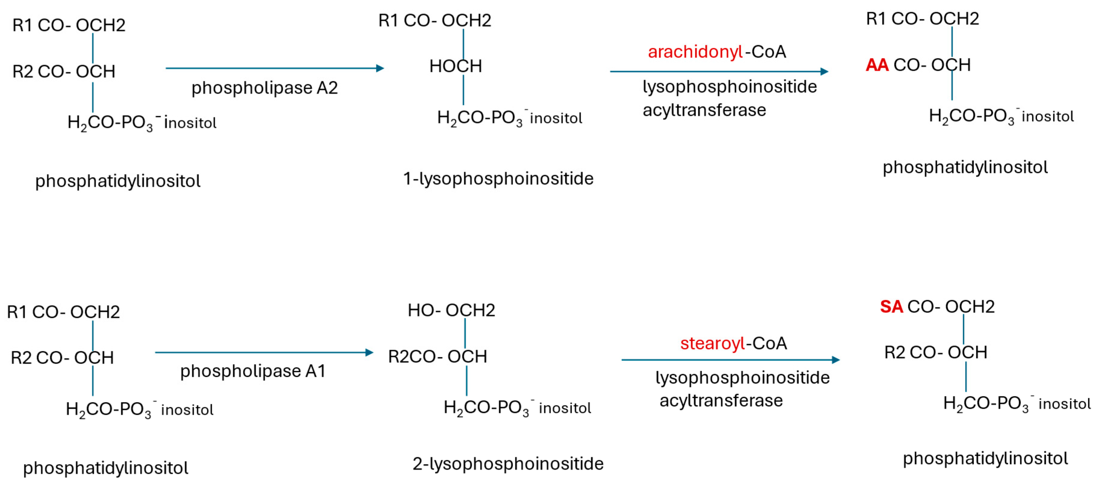 Ijms 26 07328 g006 Ijms 26 07328 g006