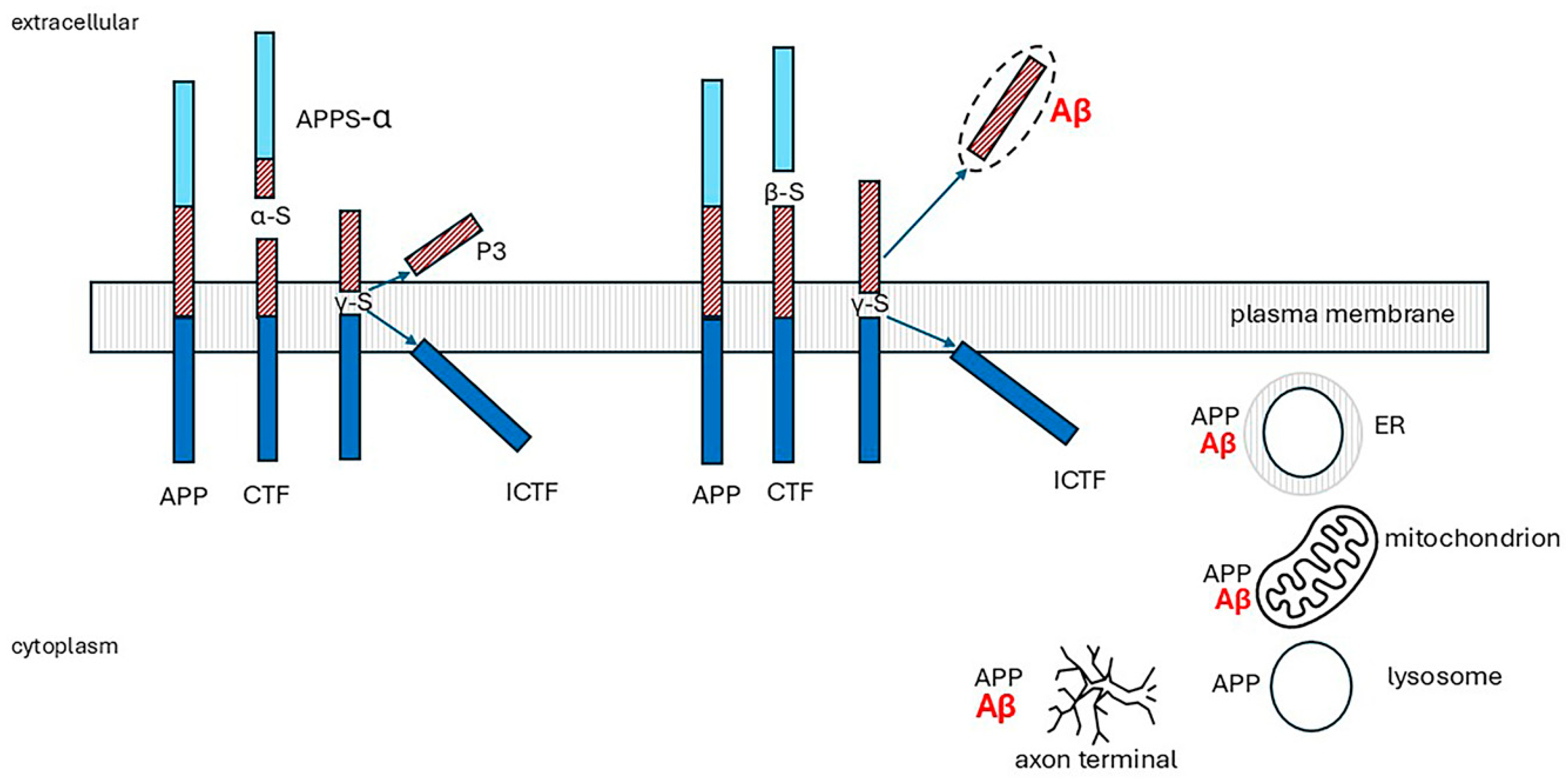 Ijms 26 07328 g007 Ijms 26 07328 g007