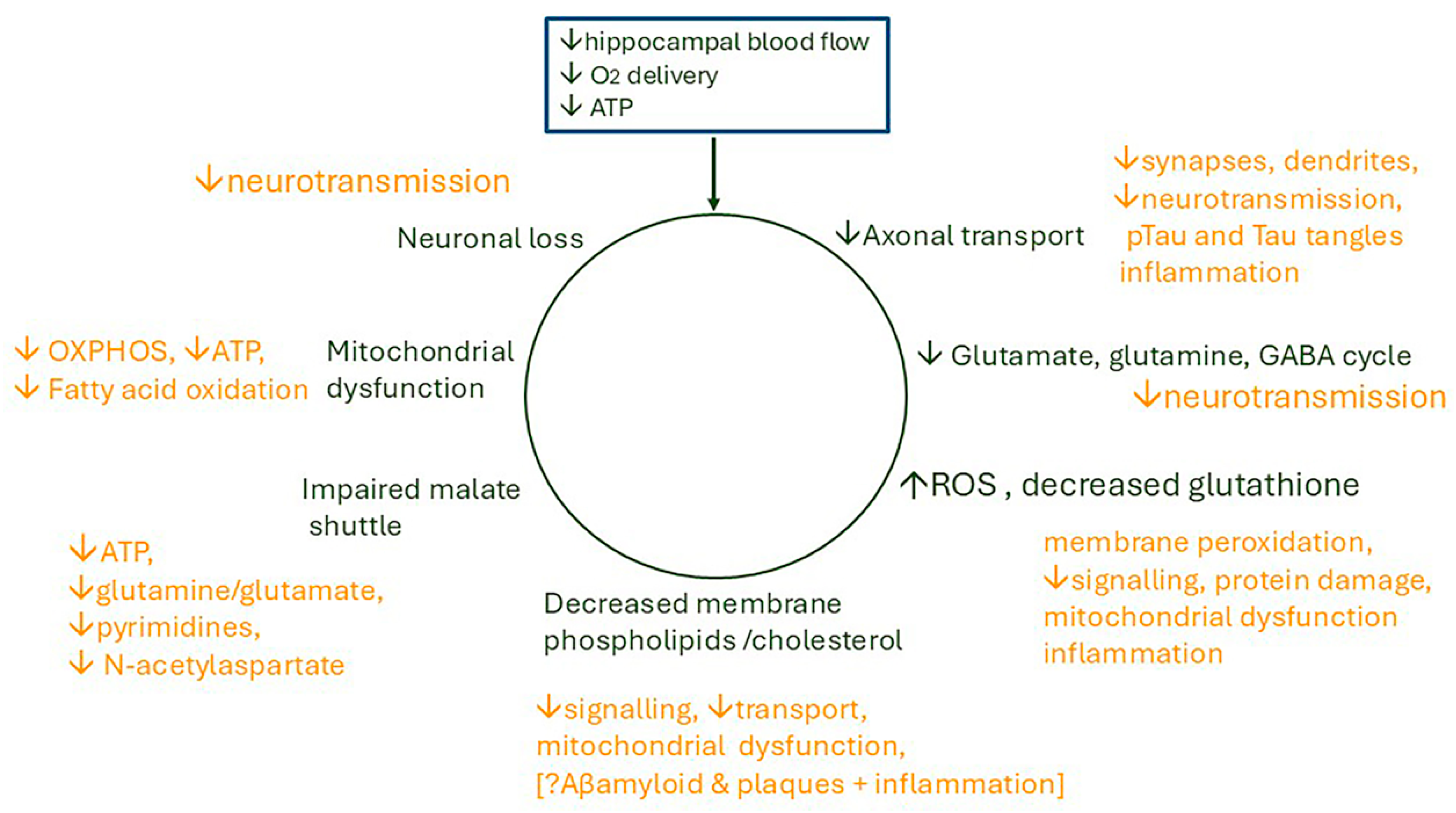 Ijms 26 07328 g009 Ijms 26 07328 g009